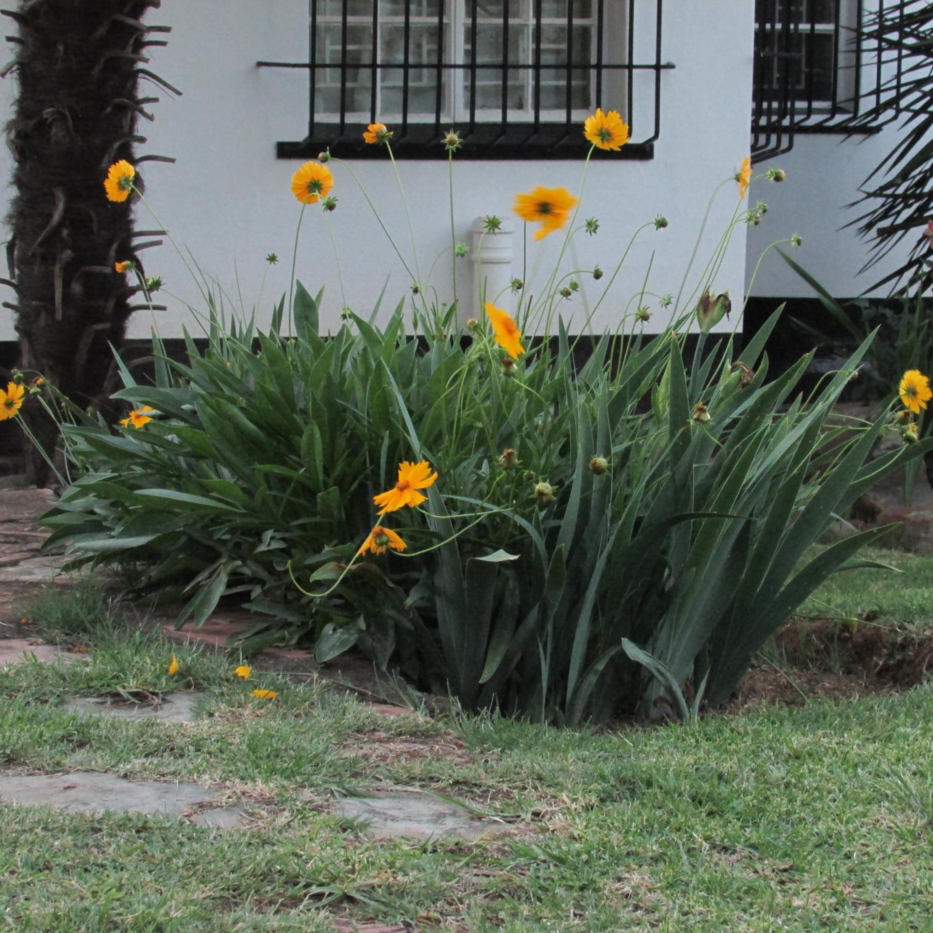 Absolute Leisure Cottages