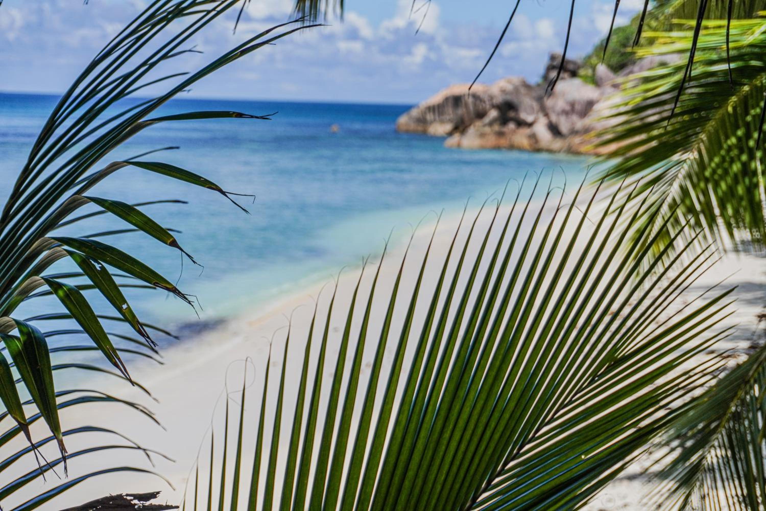 Anse Kerlan Beach Chalets