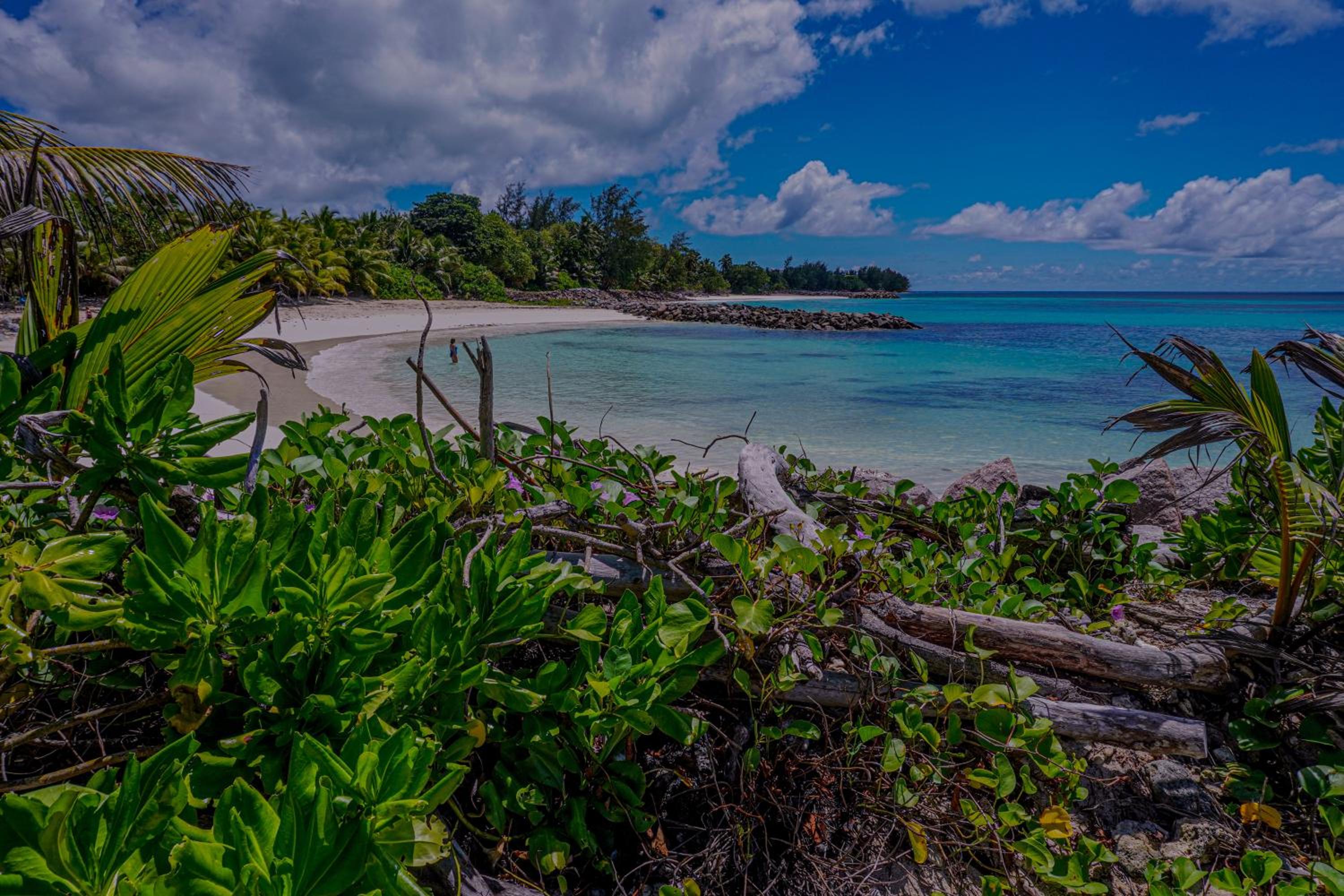Anse Kerlan Beach Chalets