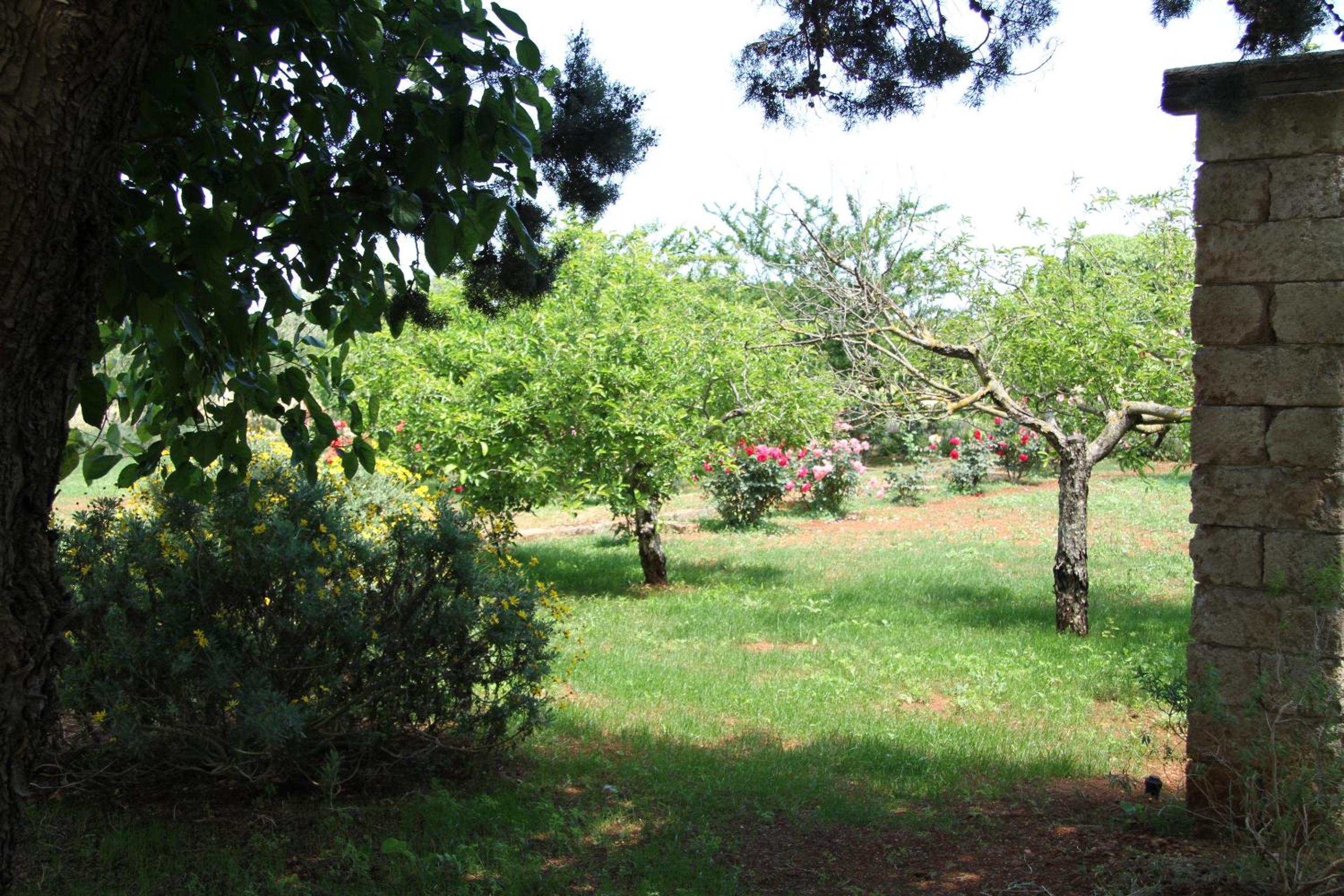 Masseria Cristo