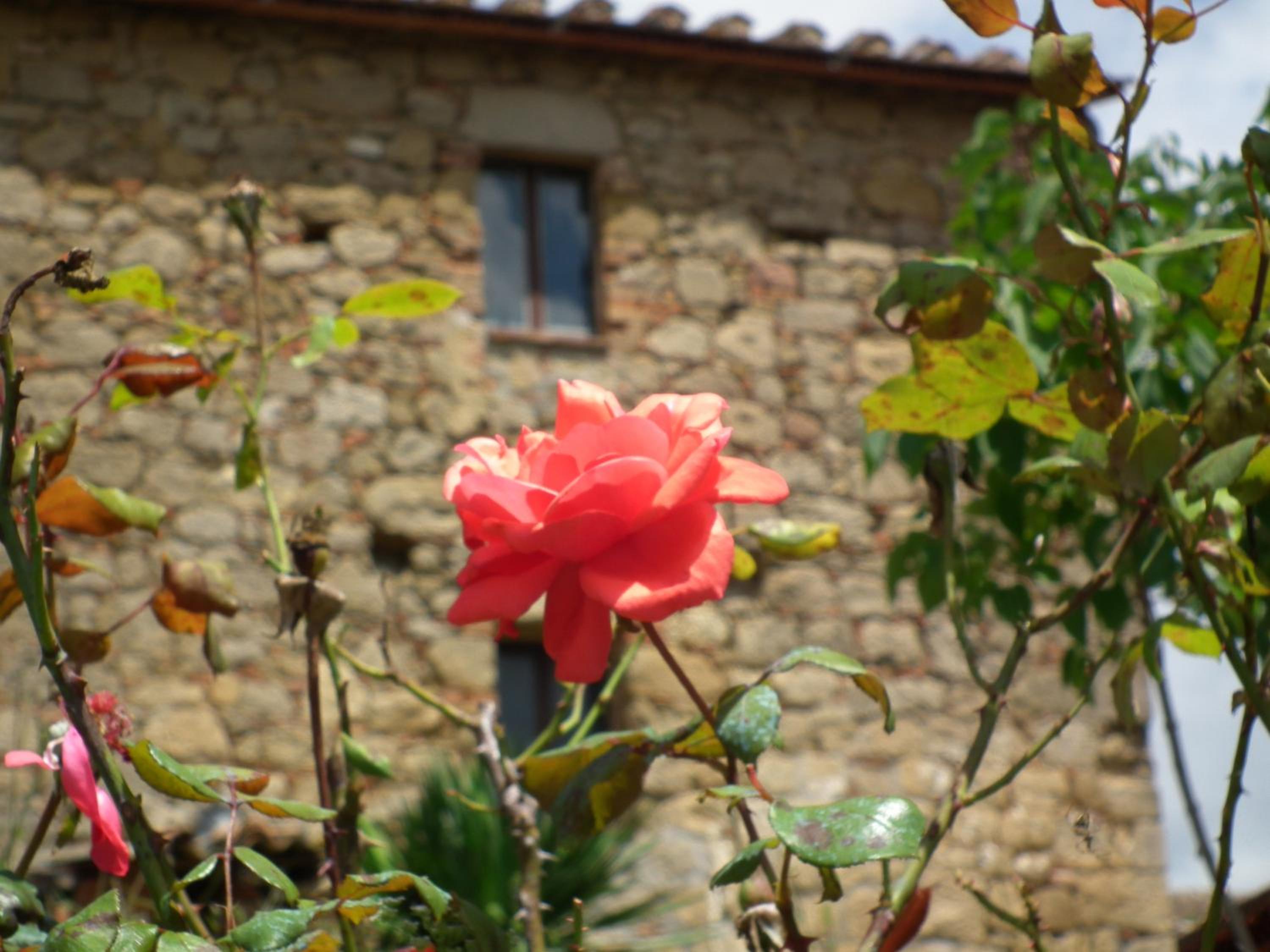 Agriturismo Riposati