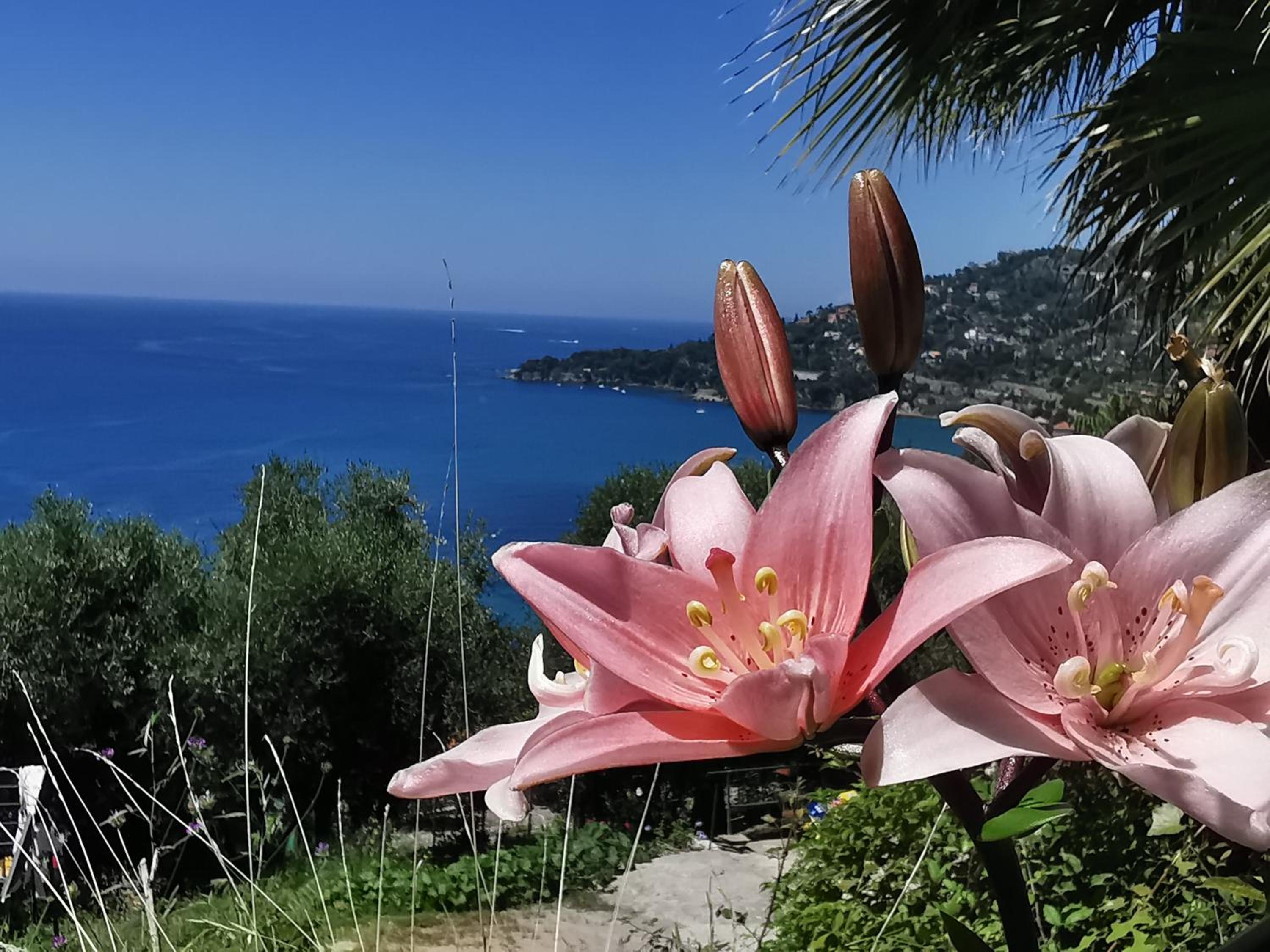 Romantic Casa Lorenzina Affittacamere
