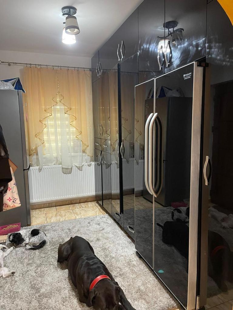 Photo 33