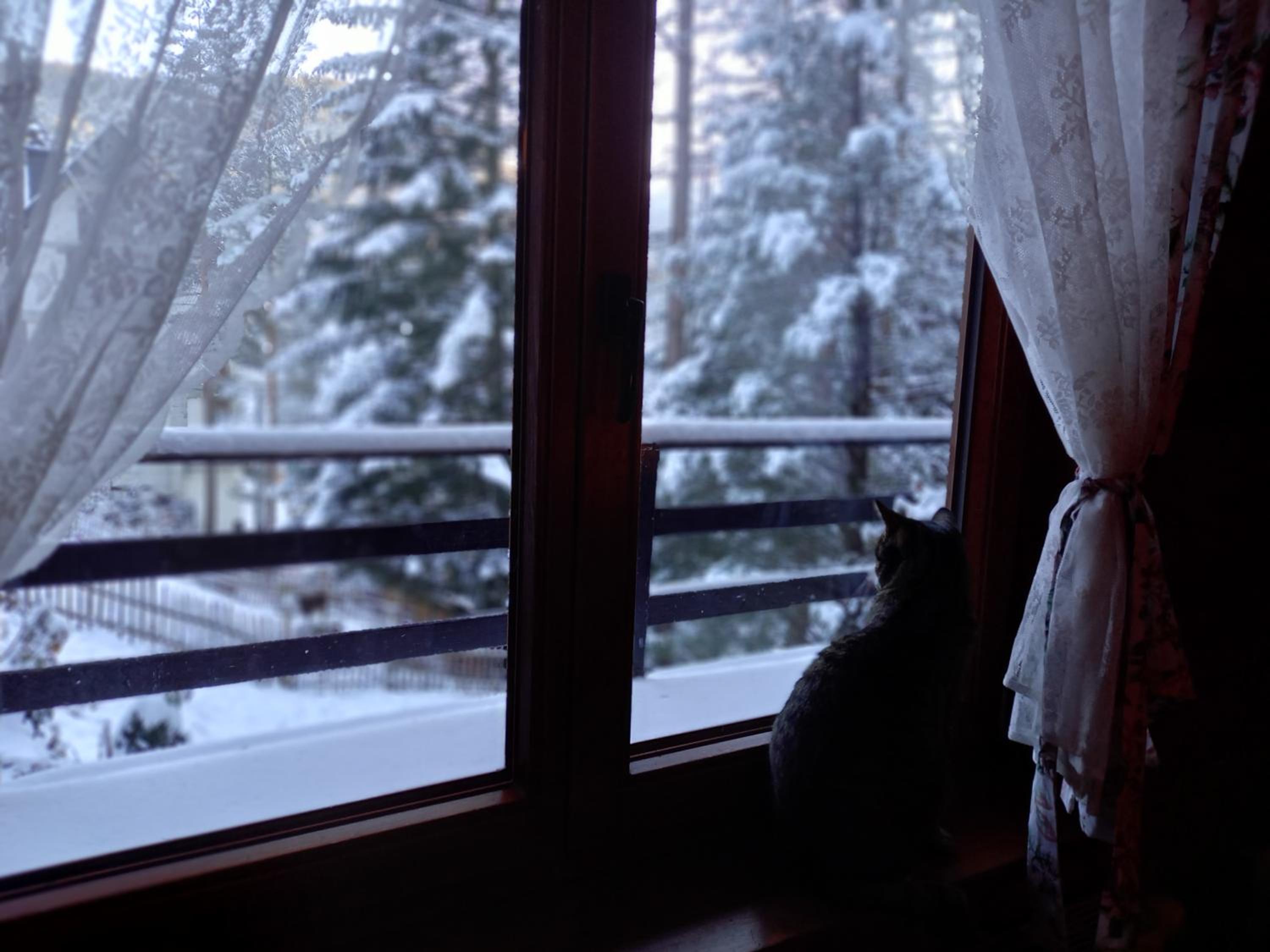 Good Bye Lenin Hostel Zakopane view 5