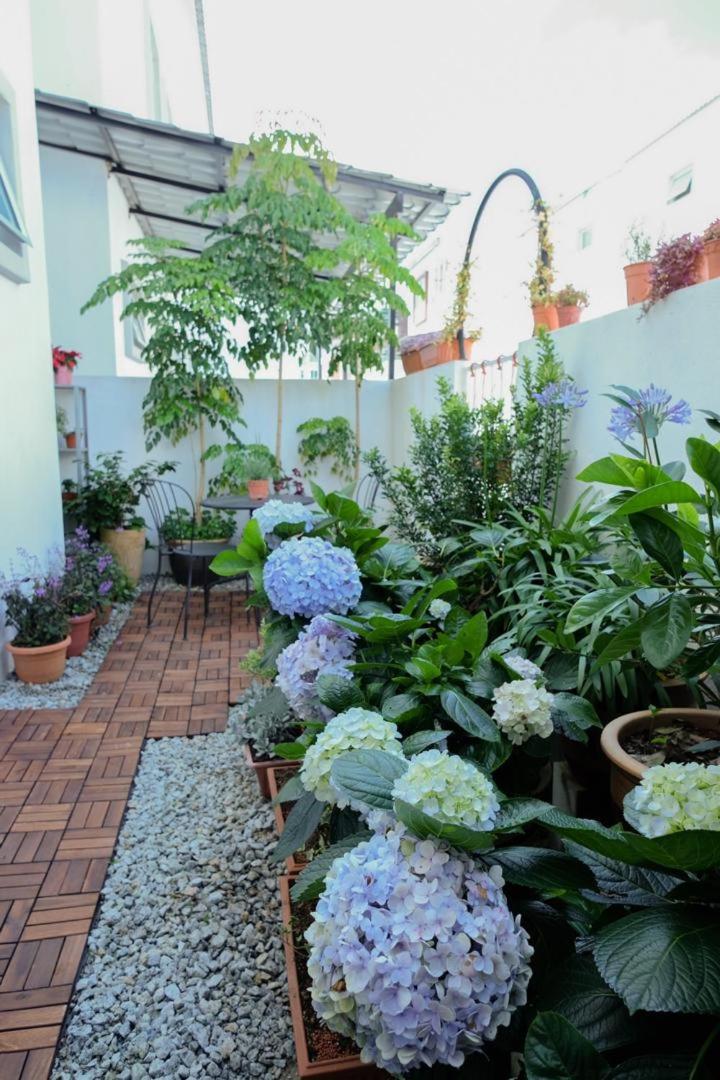 Comfy Sofy 21- Backyard Garden- Night Market area photo 6