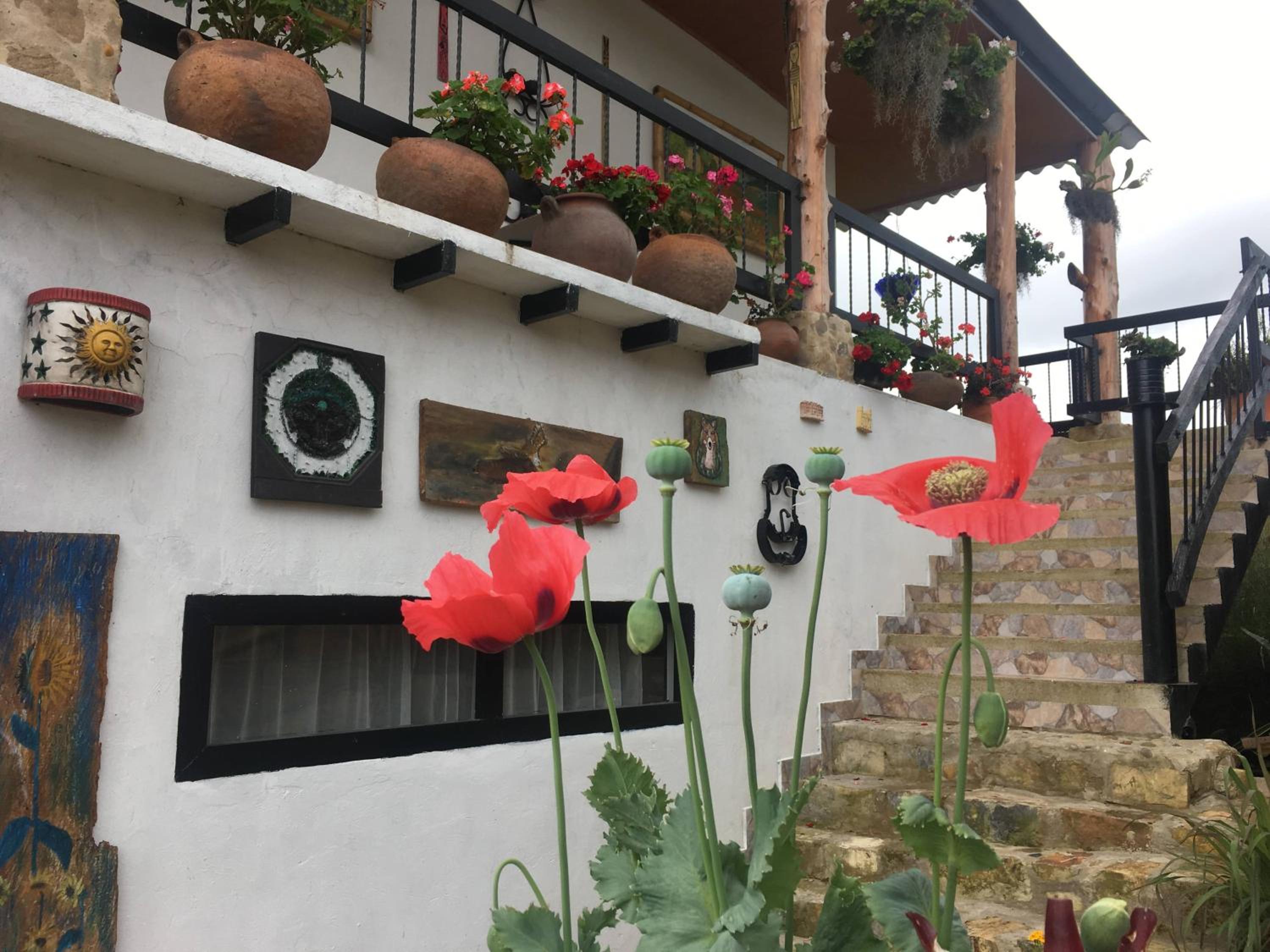 Finca Renacer