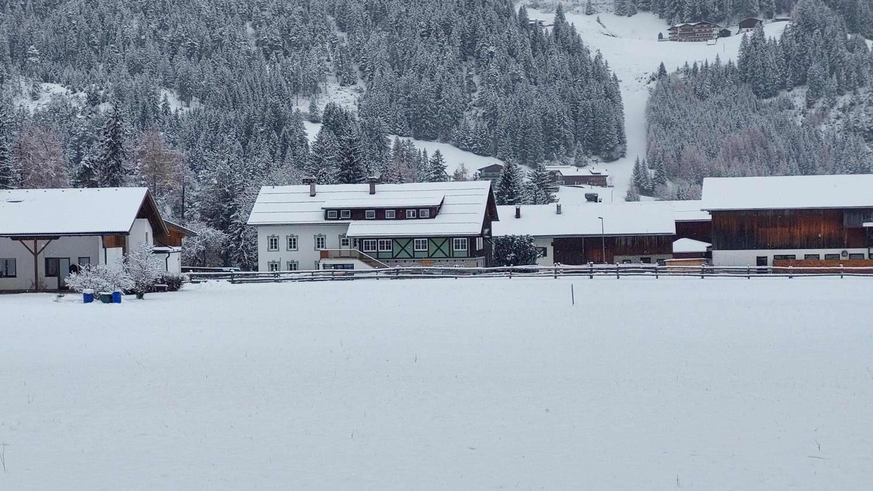 De Nussi's Chalet 1