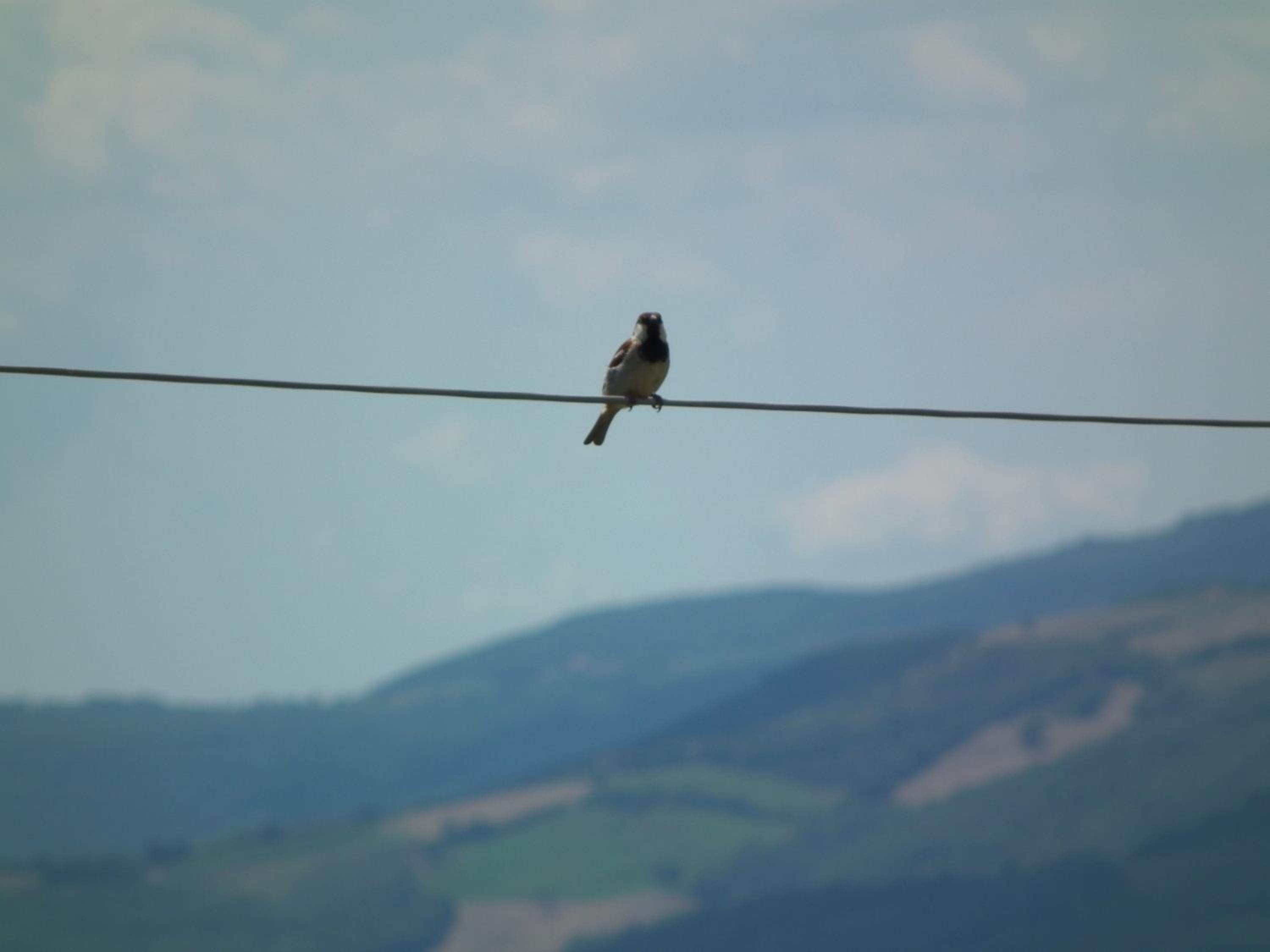 Agriturismo Riposati