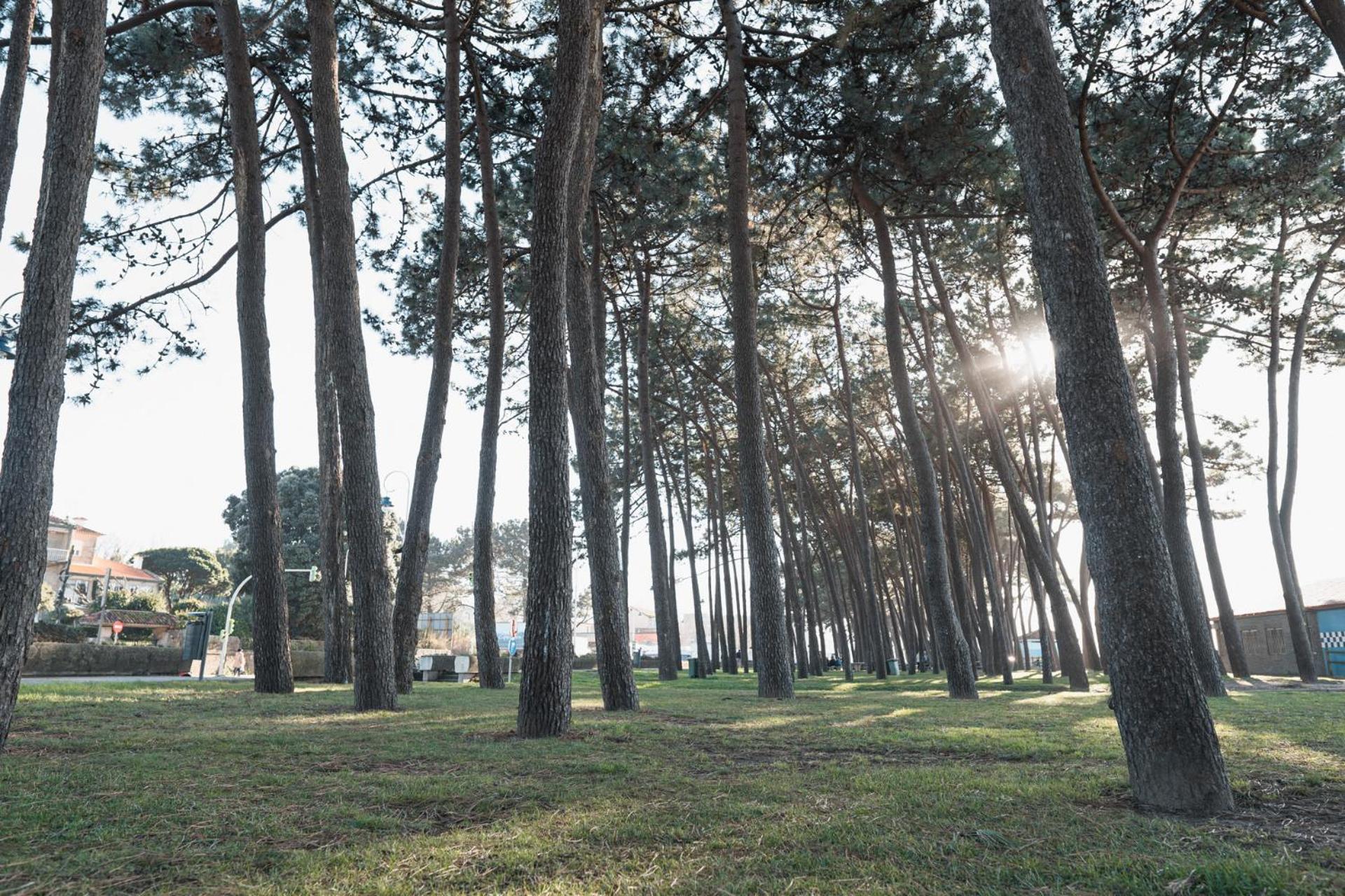 SAMIL PLAYA en Vigo — other