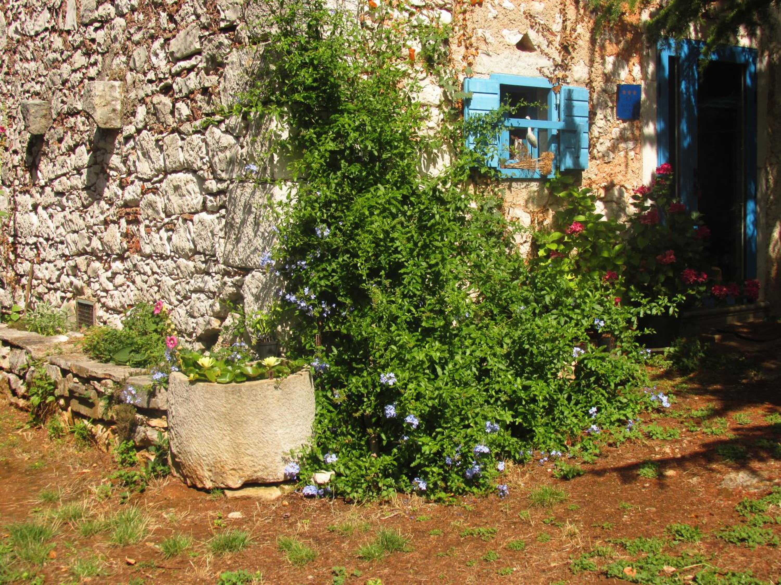 Photo 8