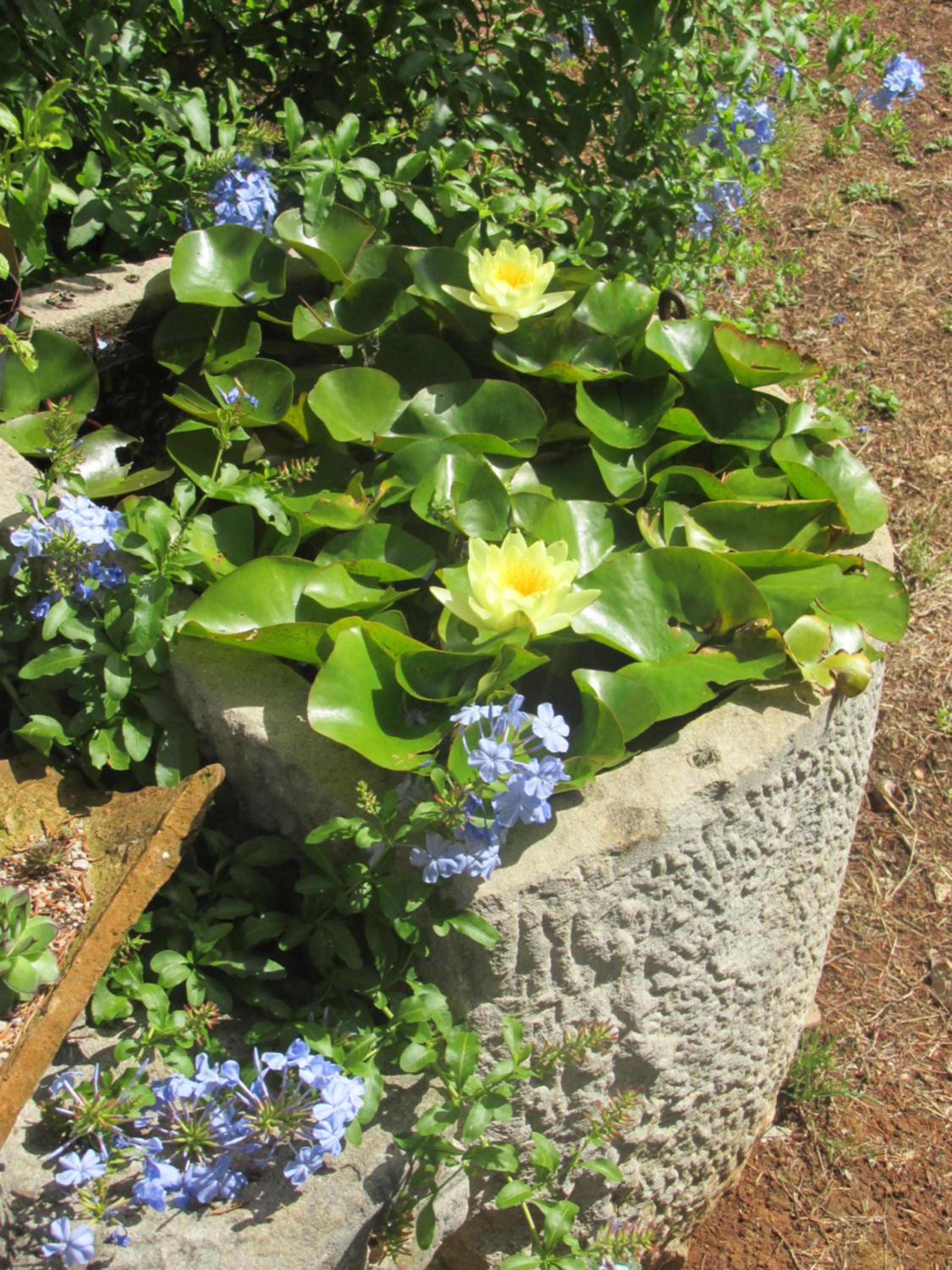 Photo 43