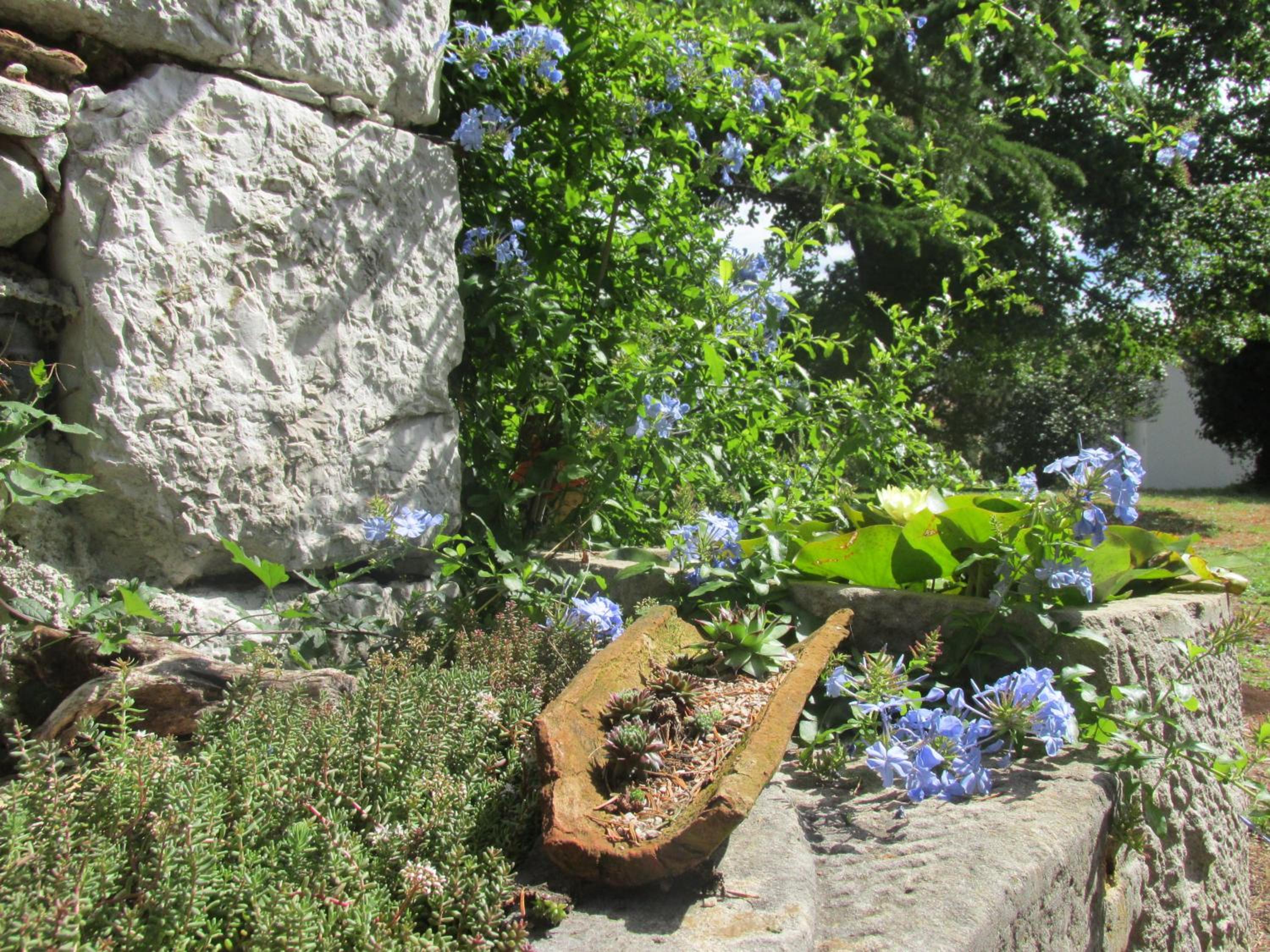 Photo 44
