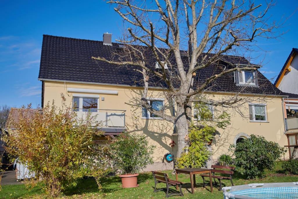 Gemütliche Ferienwohnung in ländlicher Lage view 4