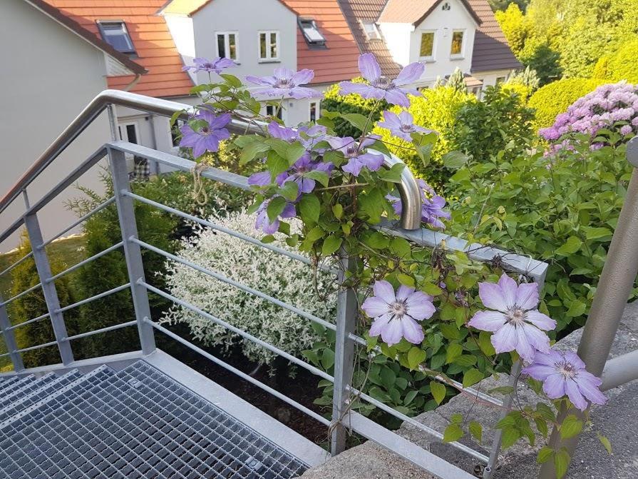 Ferienwohnung Frieda view 2
