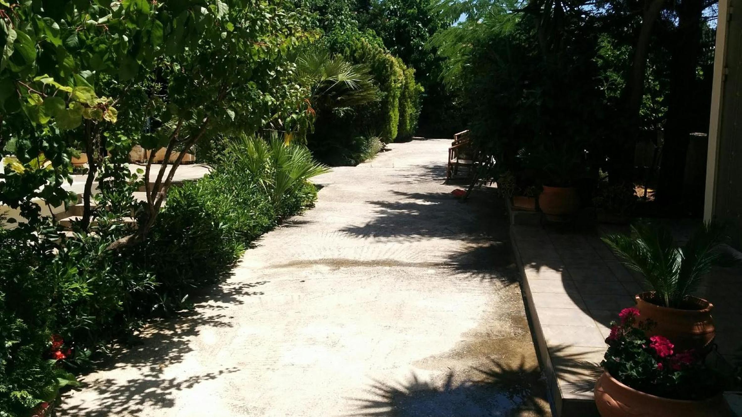 Photo 7
