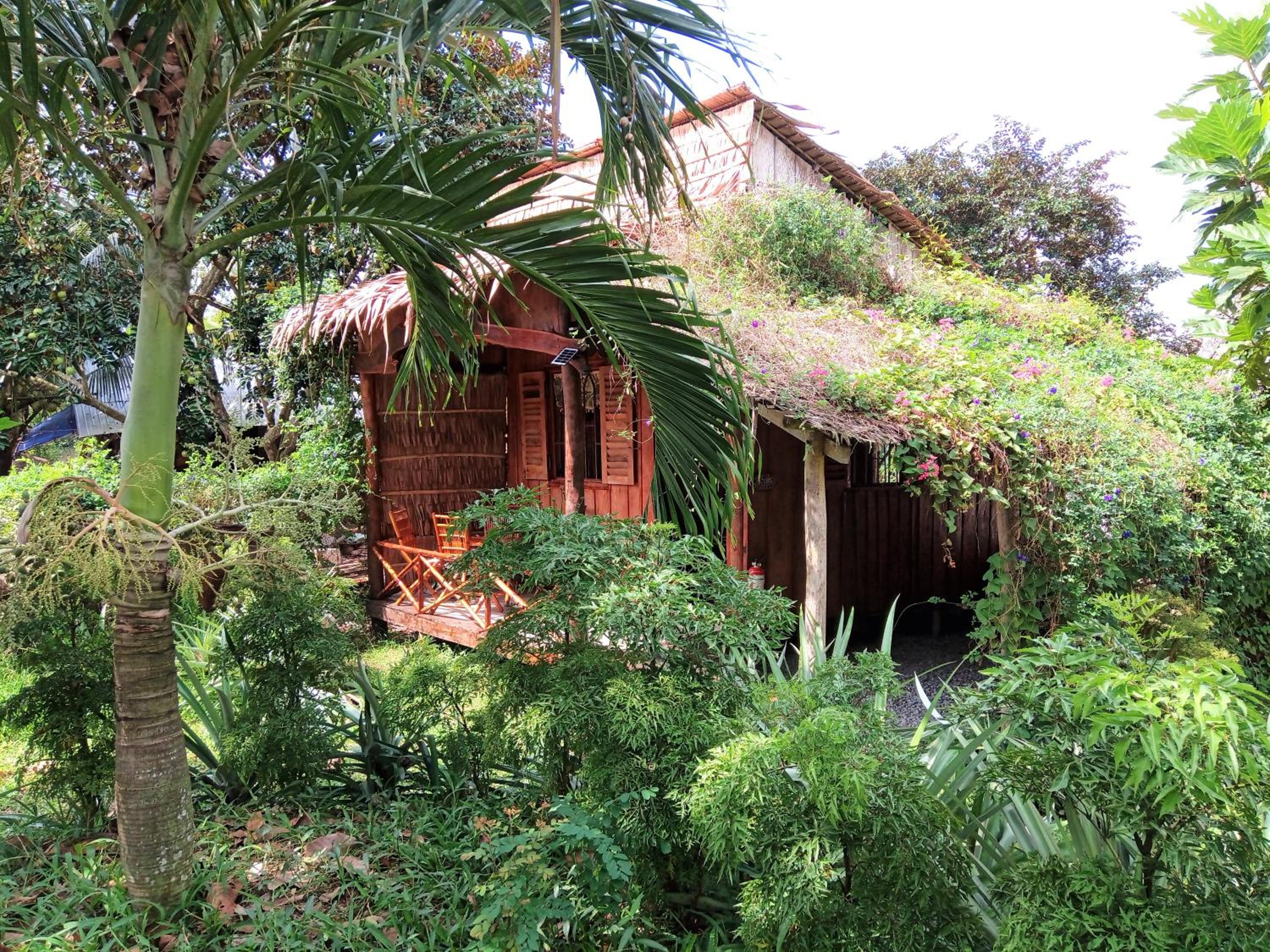 Mekong Delta Ricefield Lodge view 3