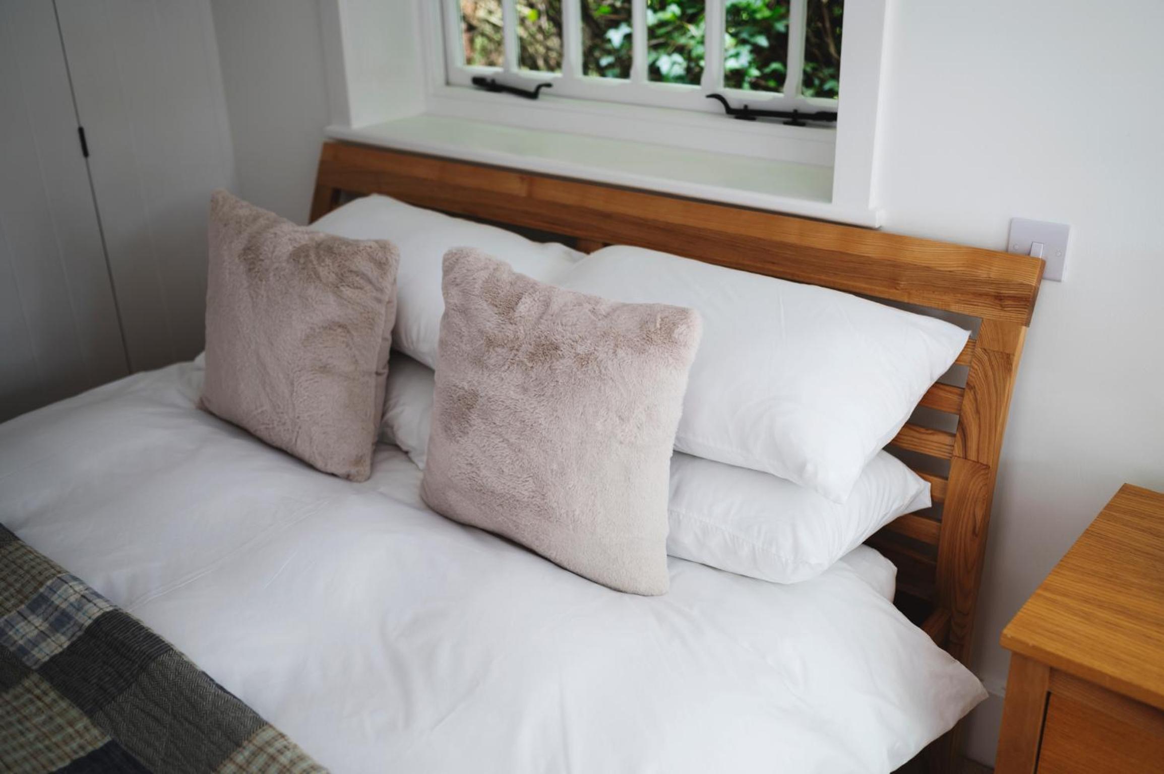 Riverside Cosey Cottage in heart of Christchurch view 2