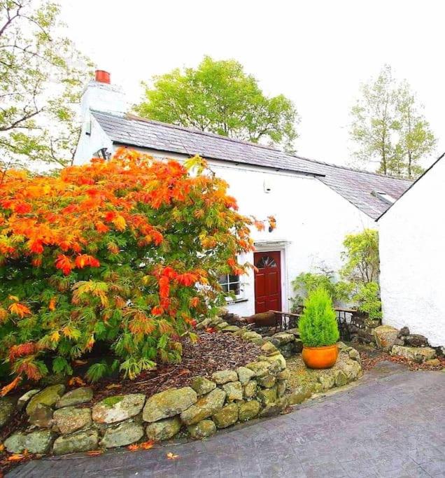 Hotel Riverside Cottage At Logwood Mill County Antrim