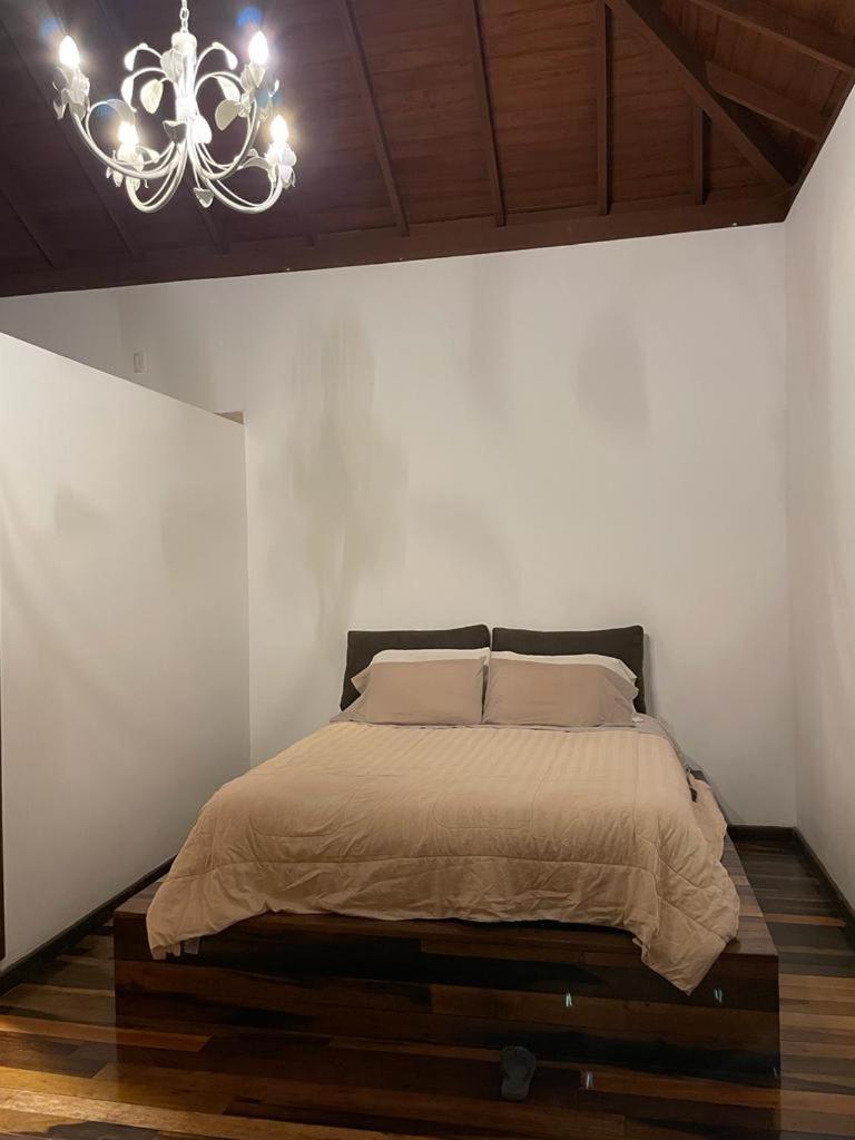 casa no bairro campeche