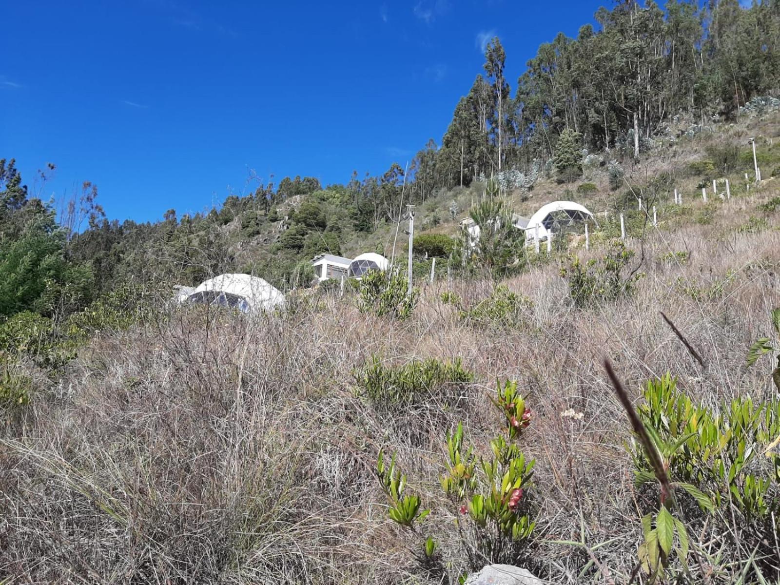 Glamping NIDO VERDE view 5