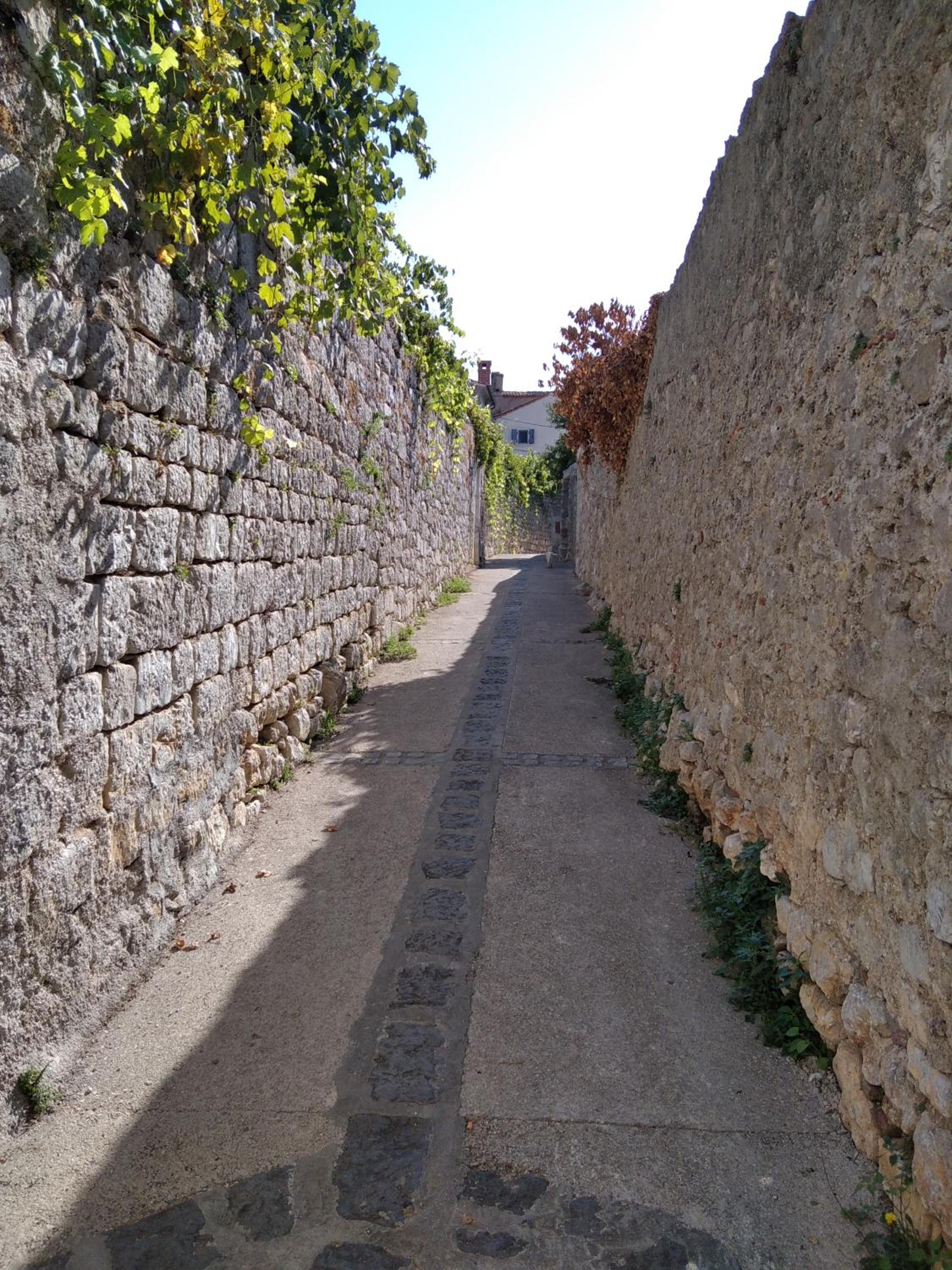 Photo 35