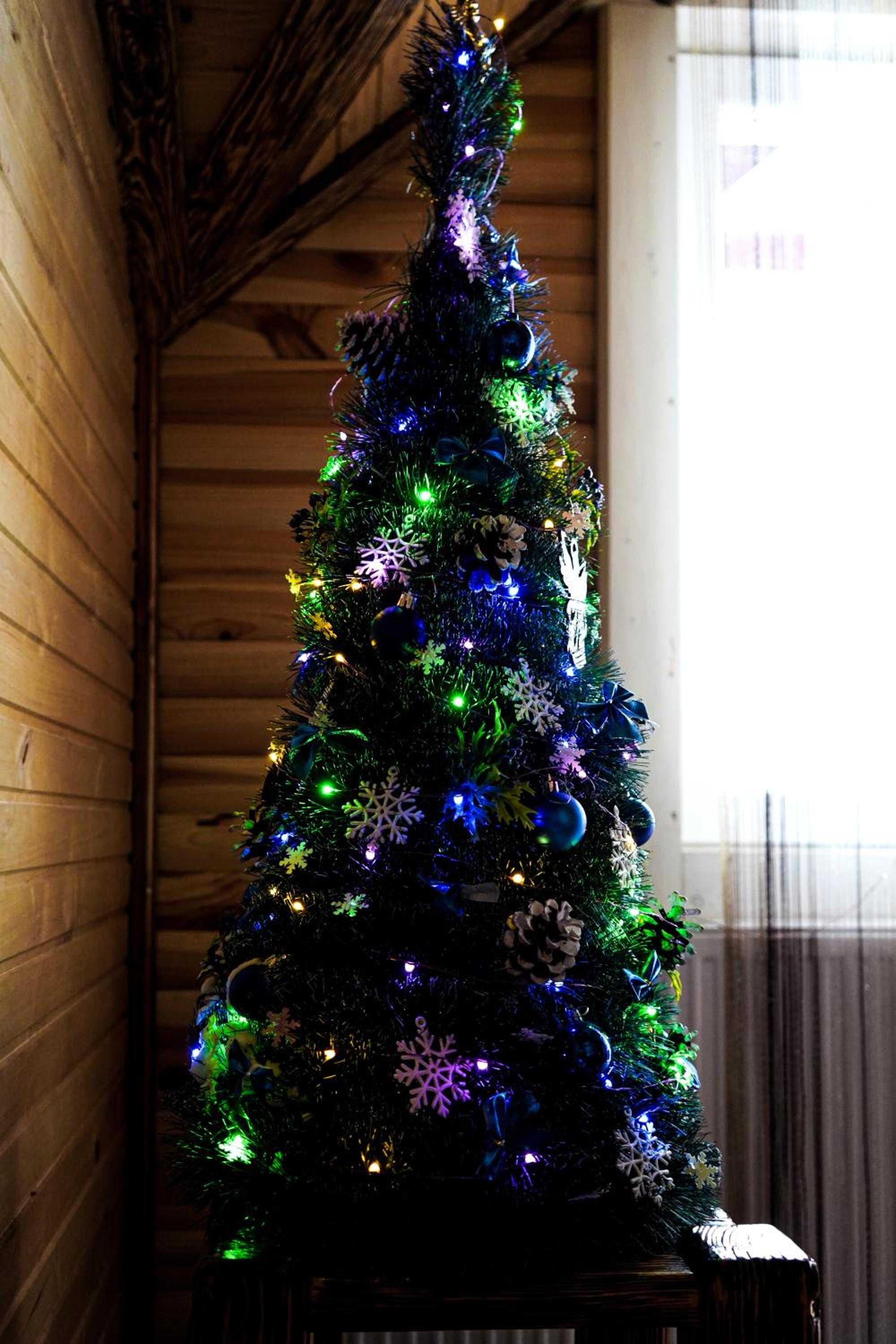 Photo 29