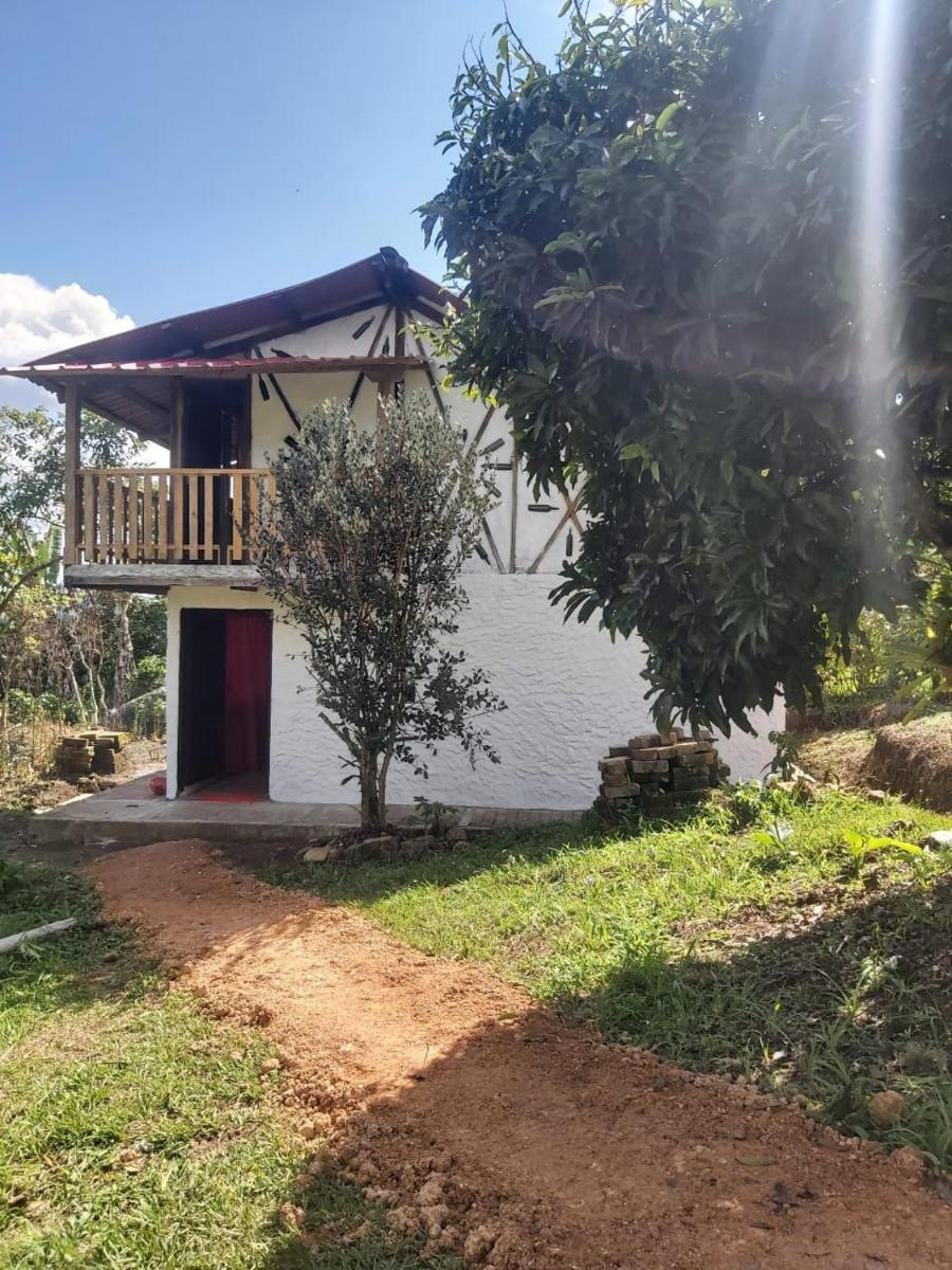 Hostal Pachamama