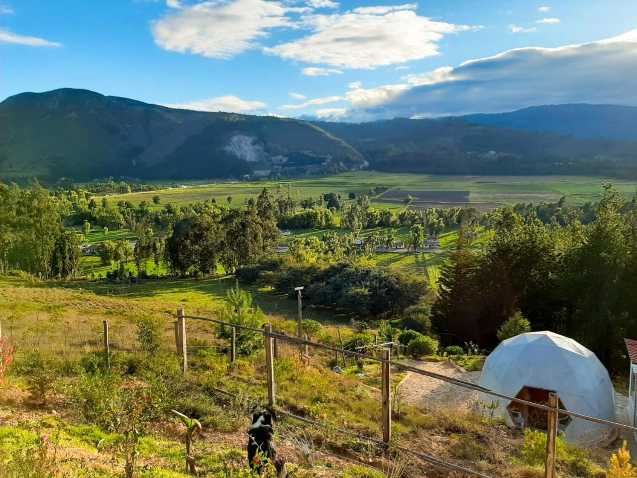 Glamping NIDO VERDE view 4