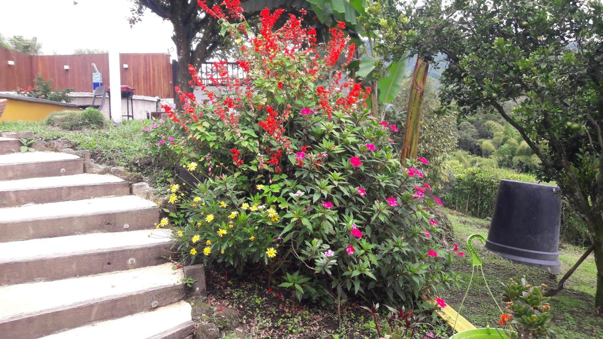 Photo 29
