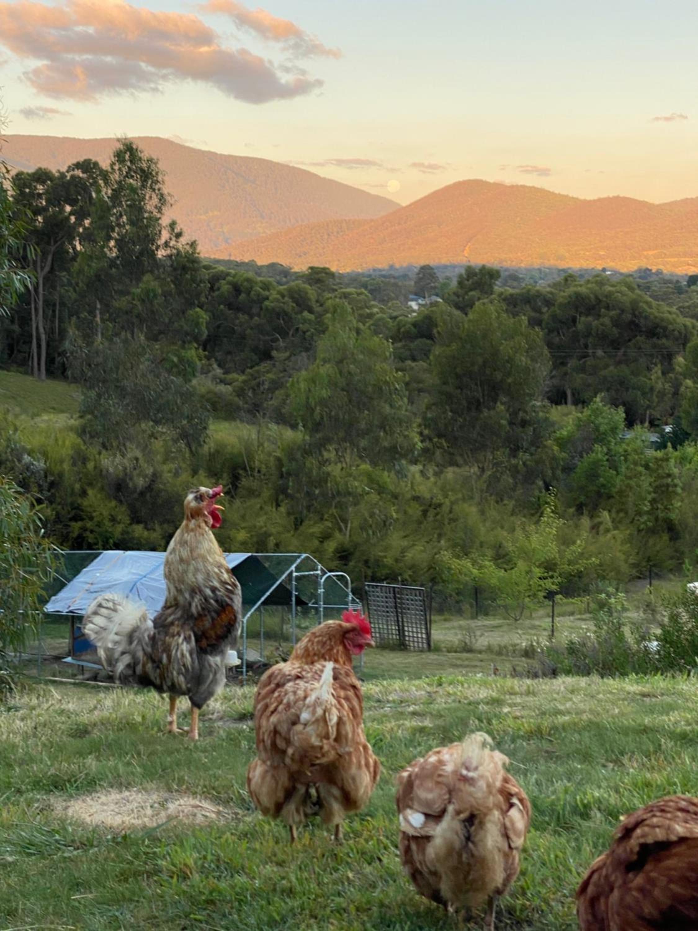 Yarra Valley Country Escape