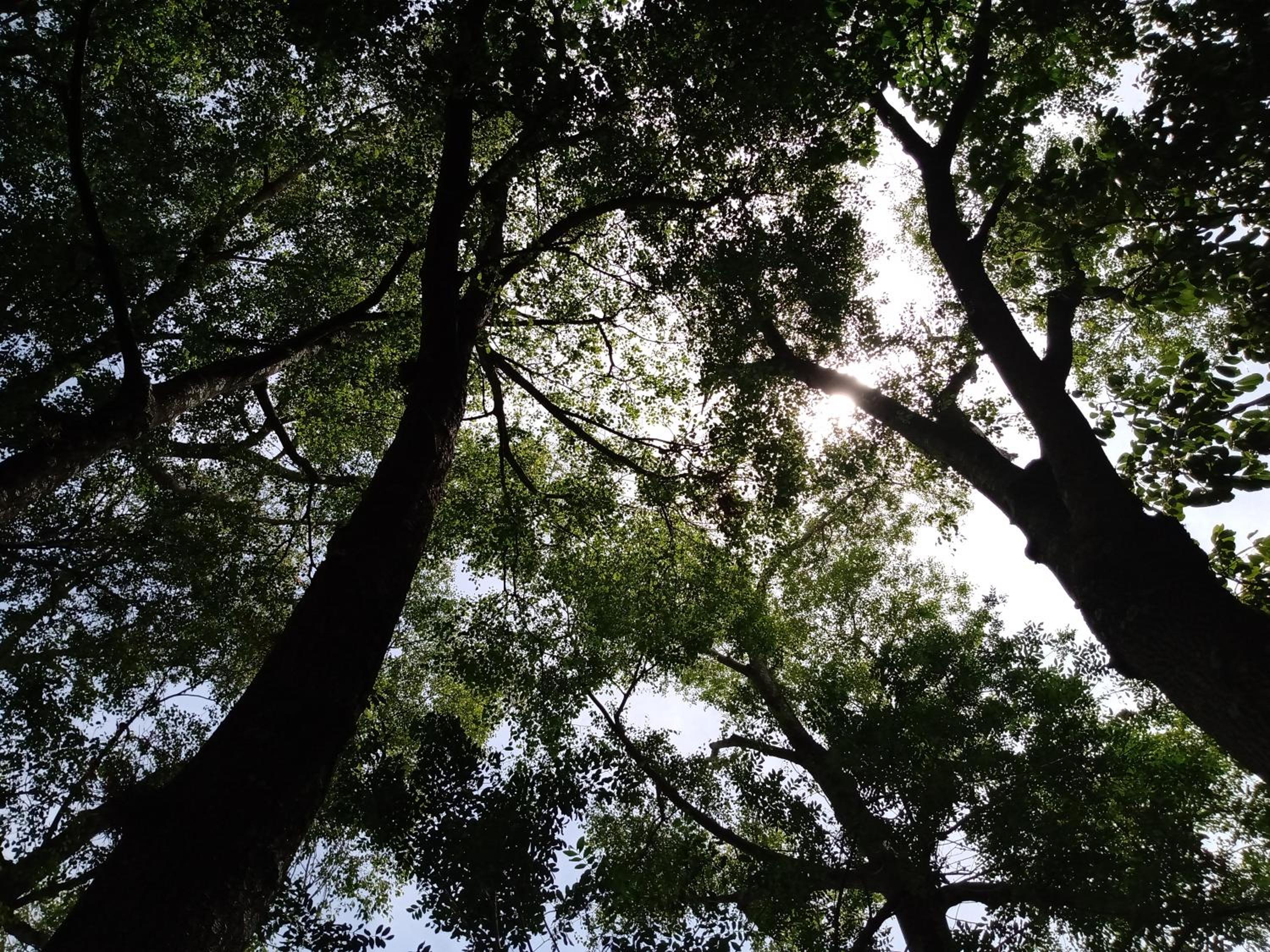 Rancho Rio Dourado, um paraíso!