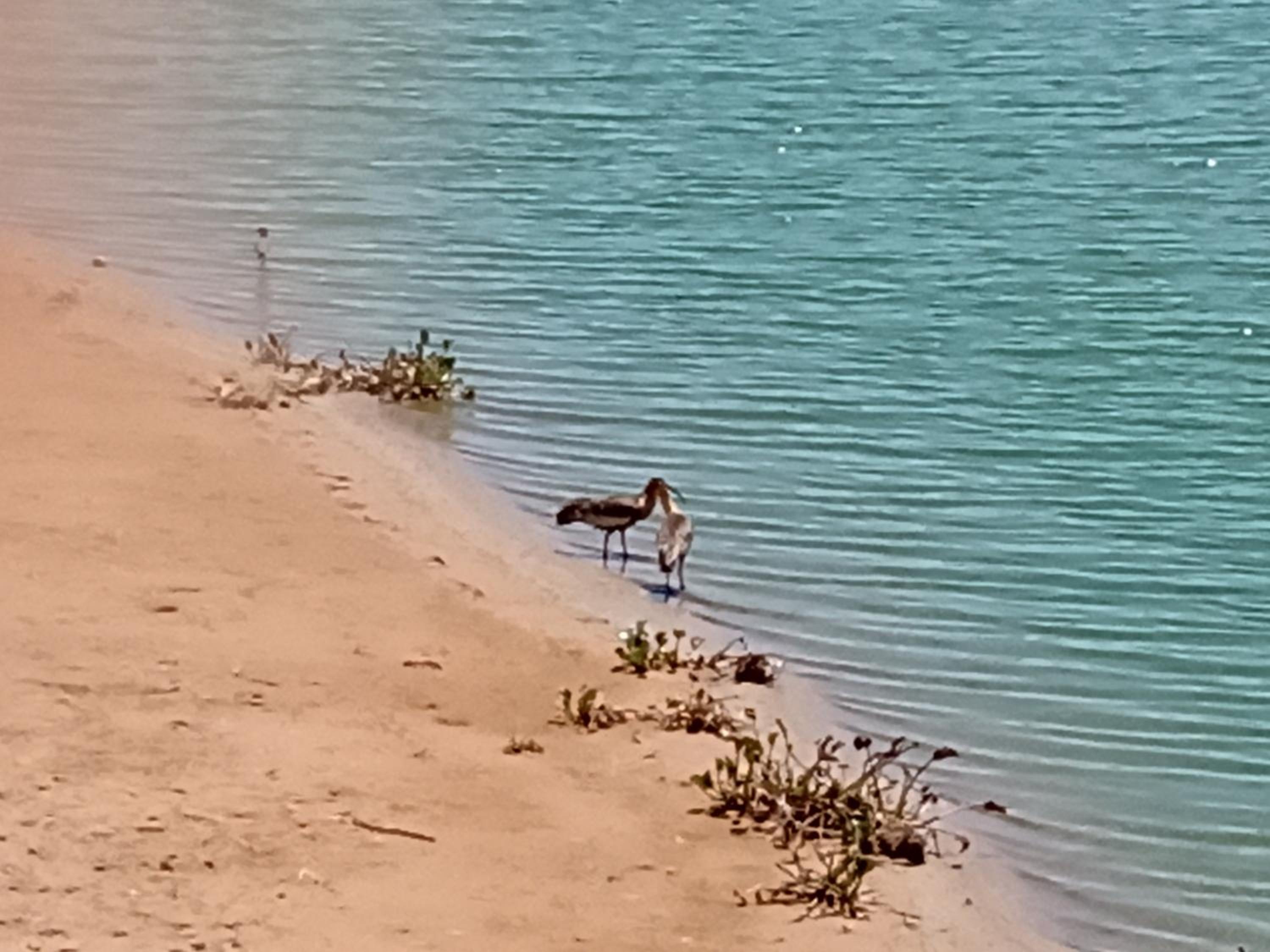 Rancho Rio Dourado, um paraíso!