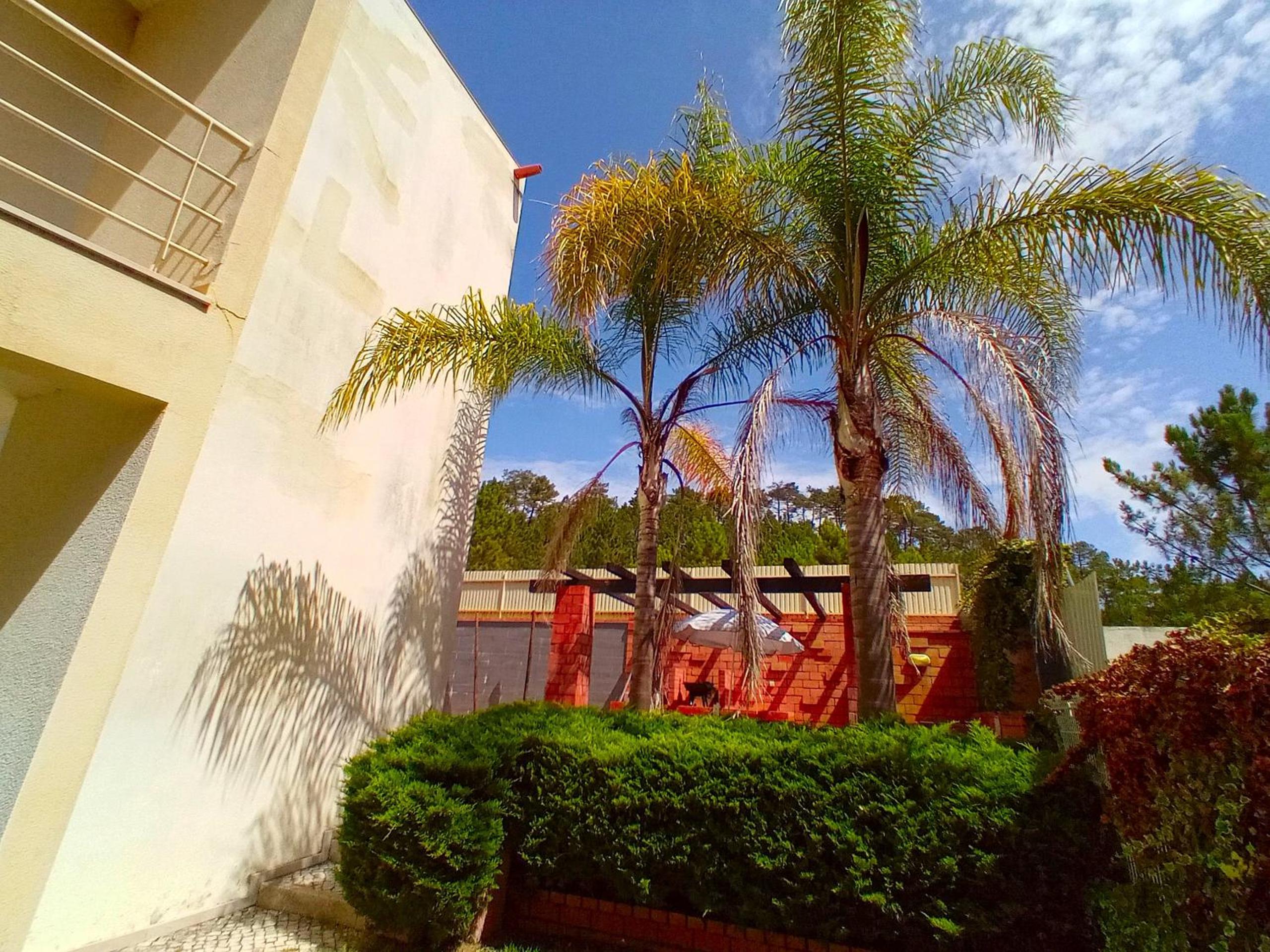 Photo 49