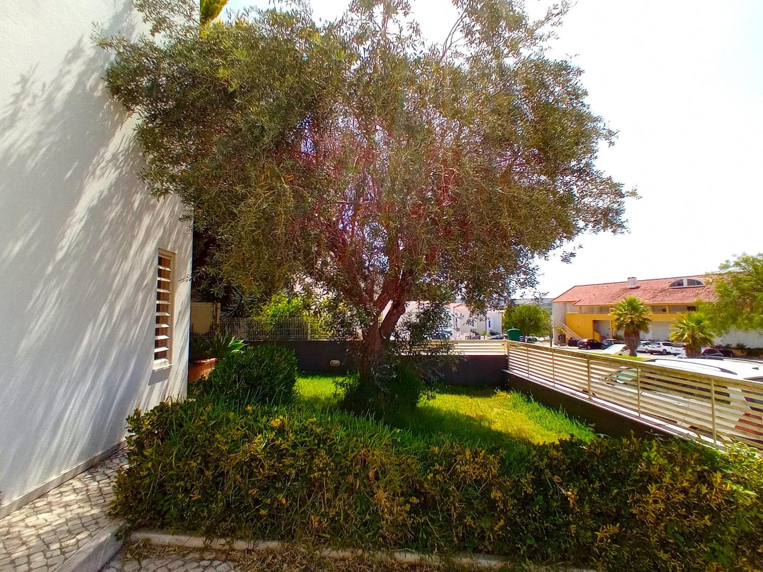 Photo 50