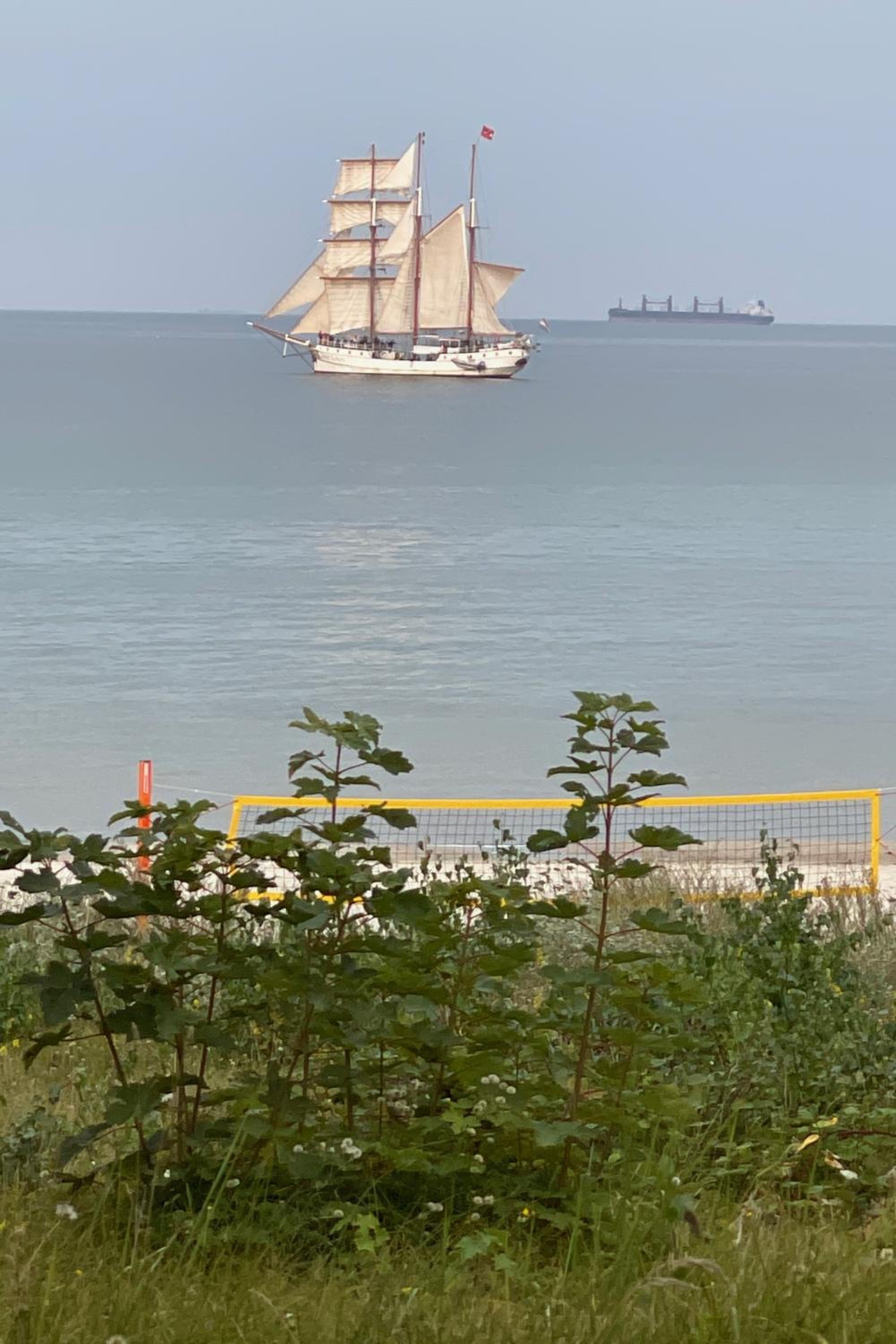 Reethaus Seeadler mit Sauna, Terrasse, Garten
