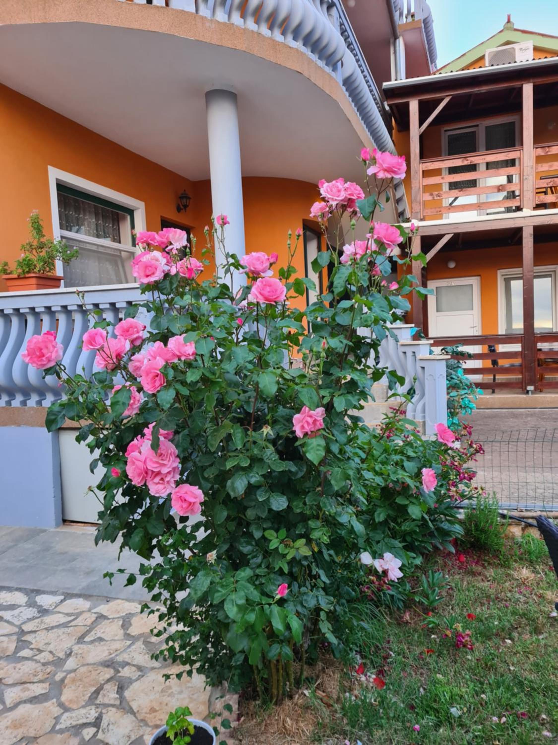 Apartments Šeherzada
