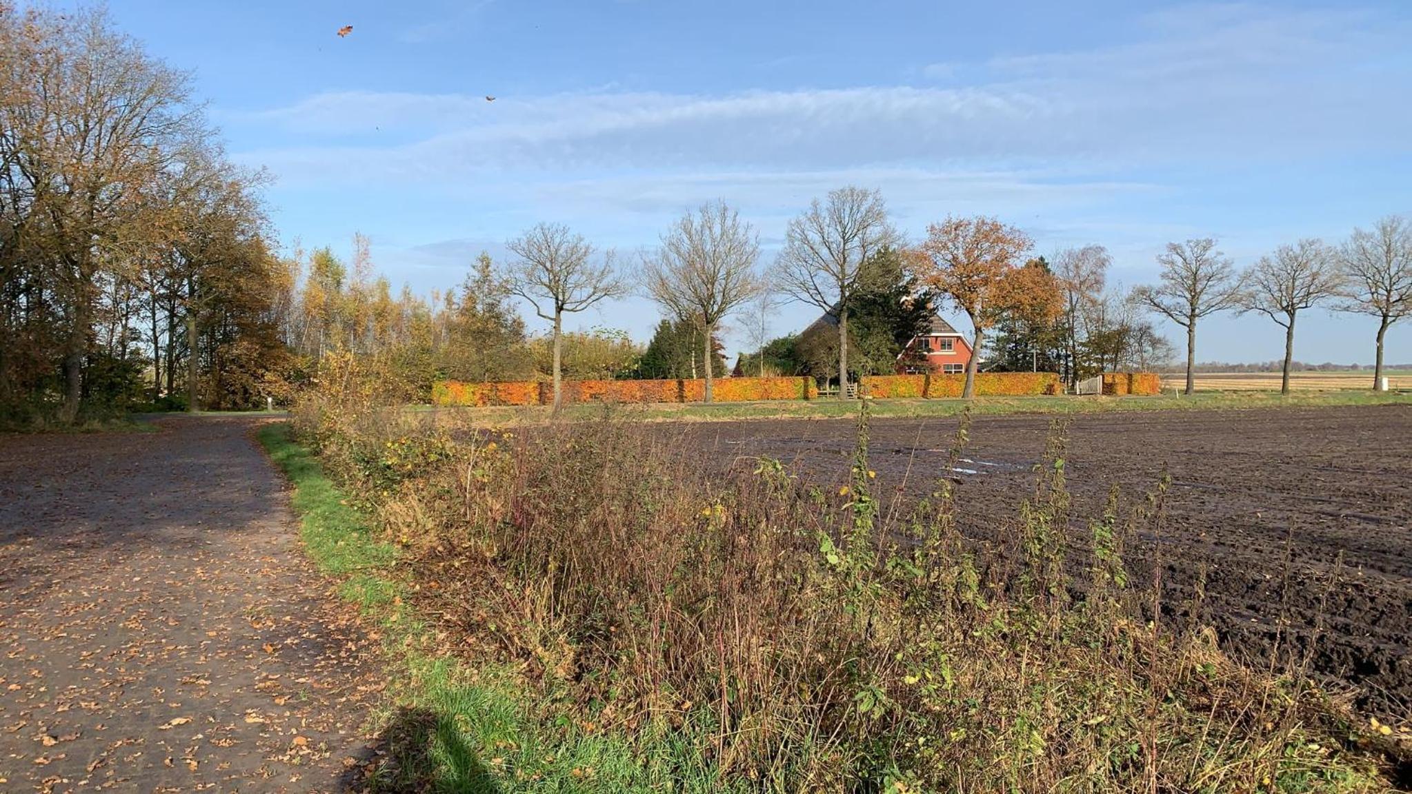 Veendijkhoeve view 5