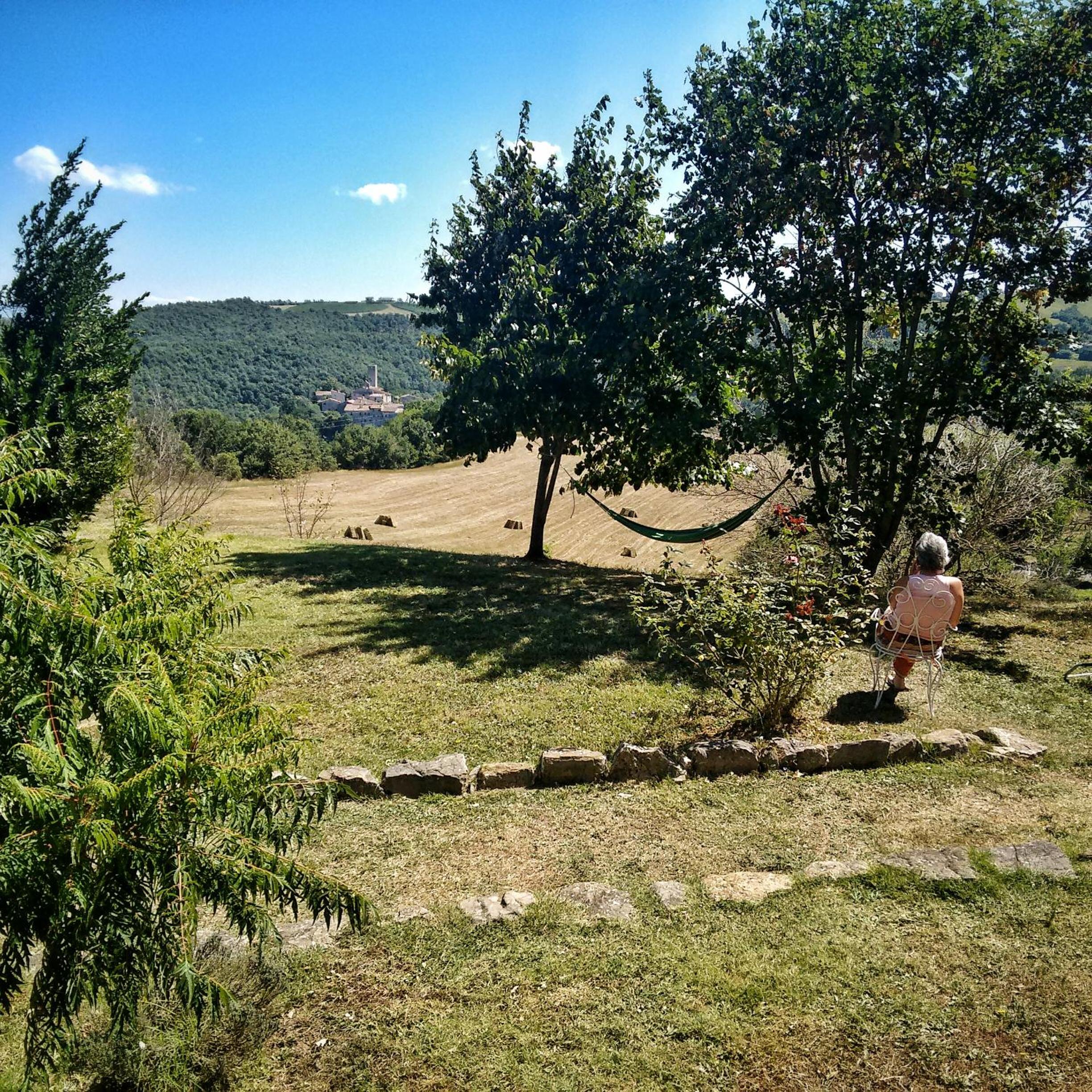 Photo 47