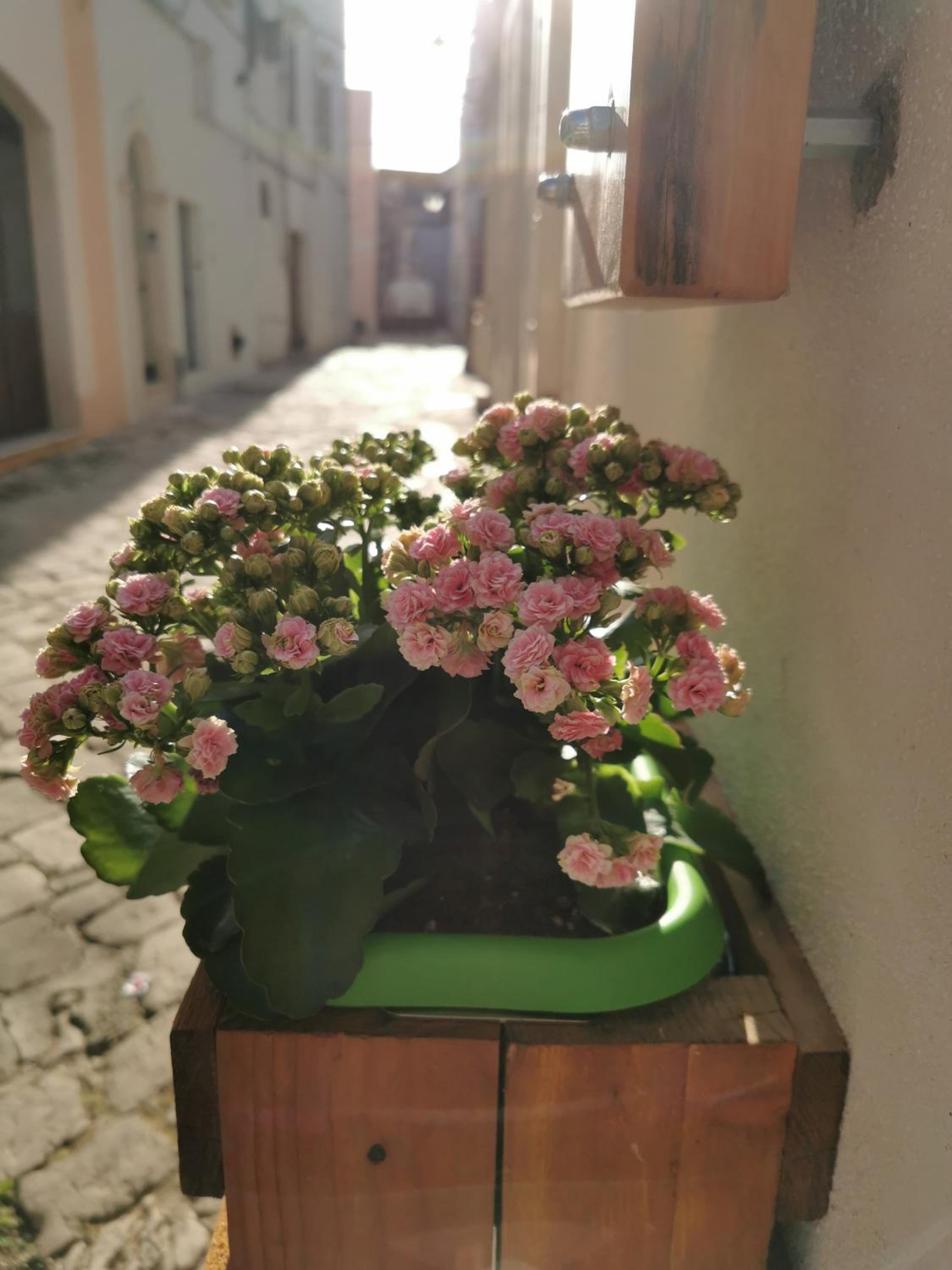 Home Sweet Home view 4