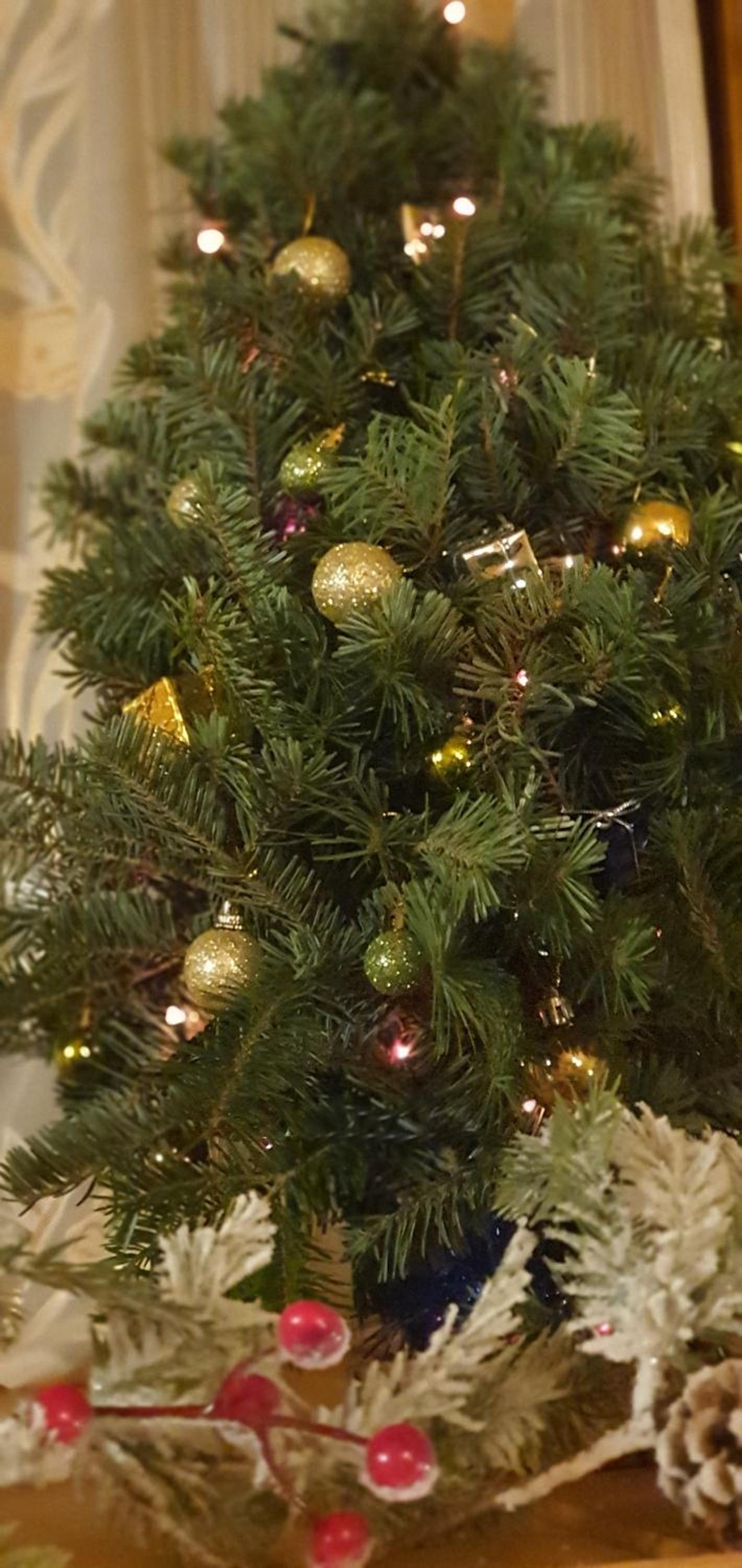 Photo 16