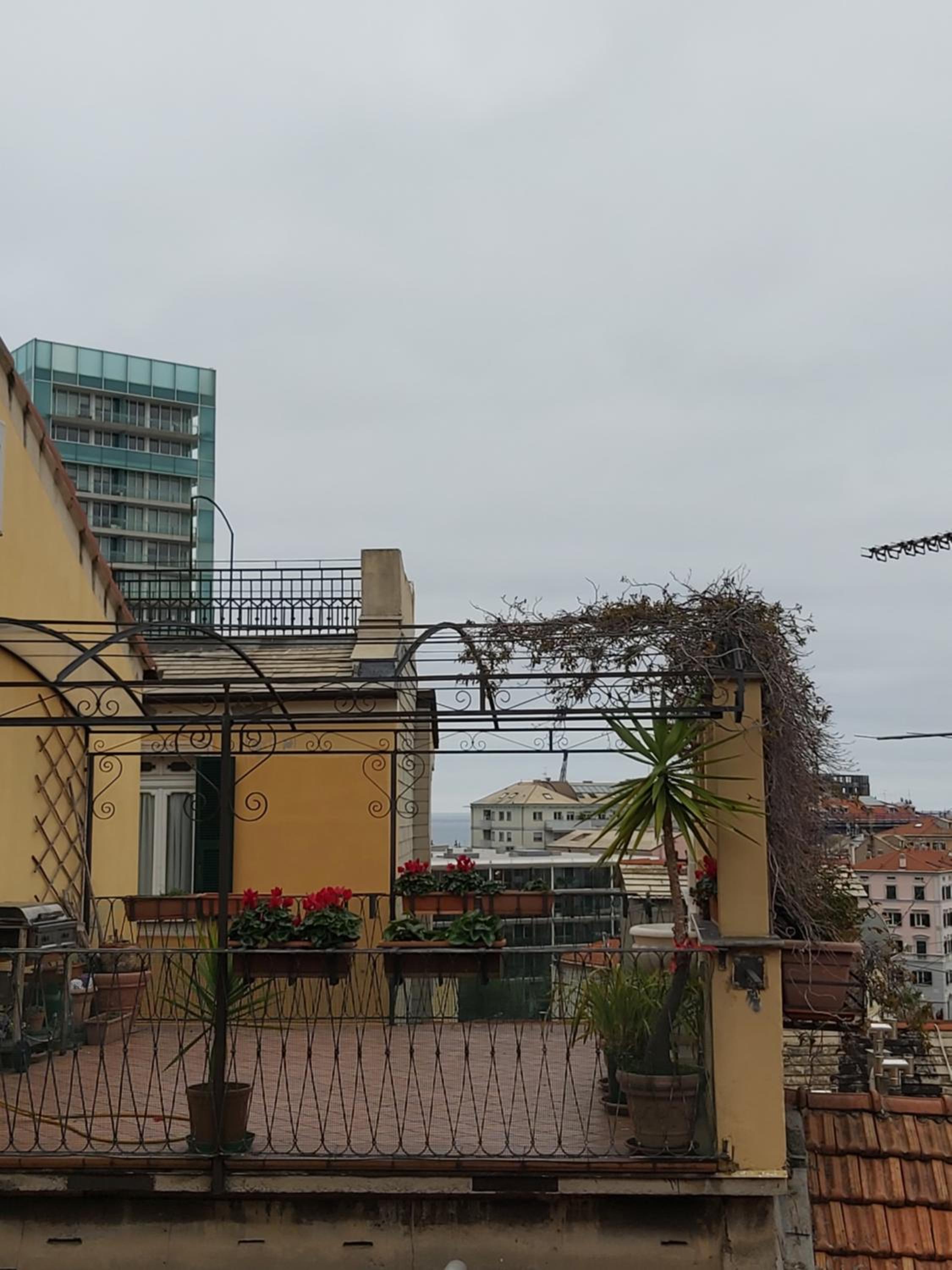 Photo 55
