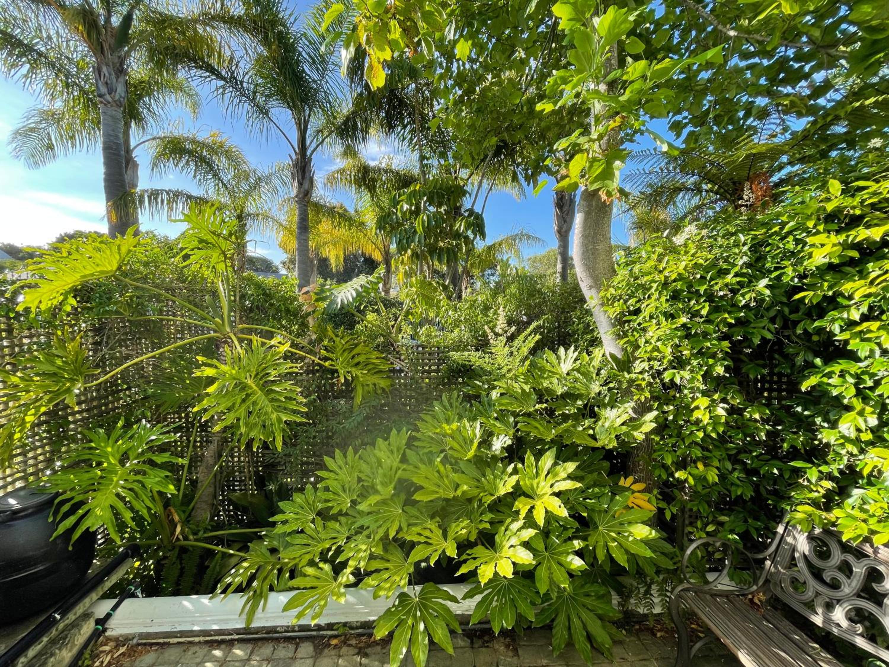 Constantiaberg Eco-Villa view 3