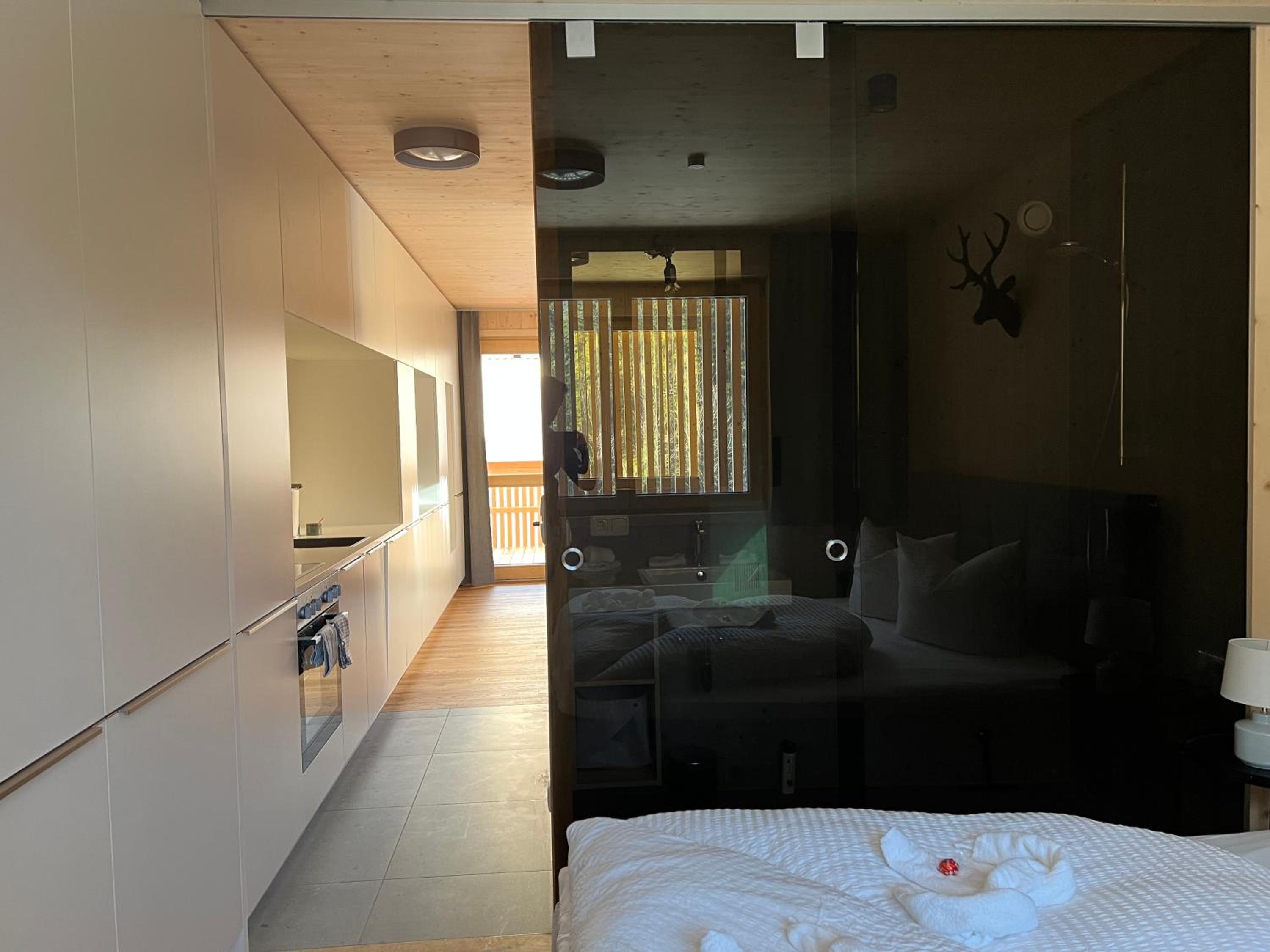 SMART Apartments Mellau view 2