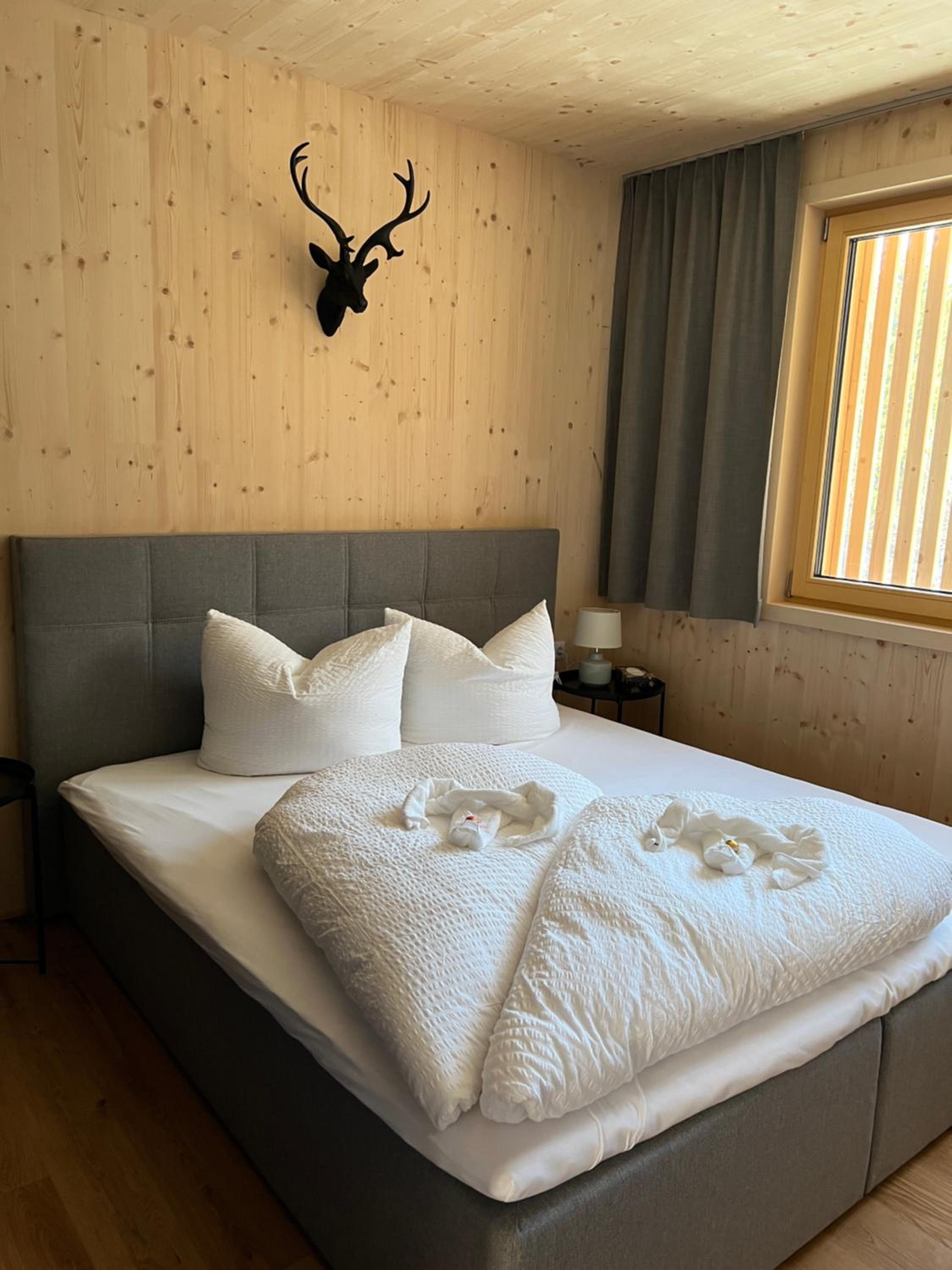SMART Apartments Mellau view 3