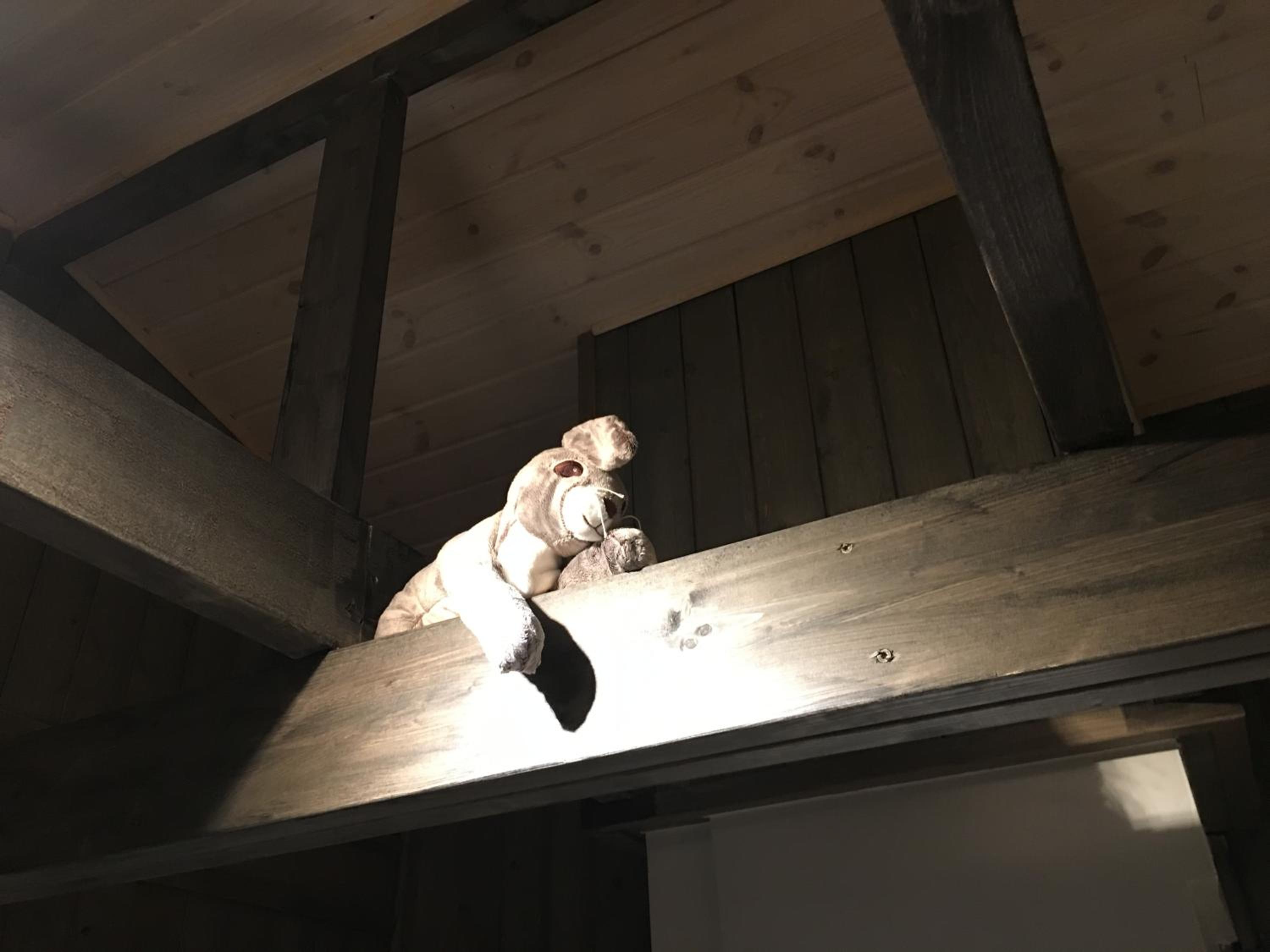 Photo 21
