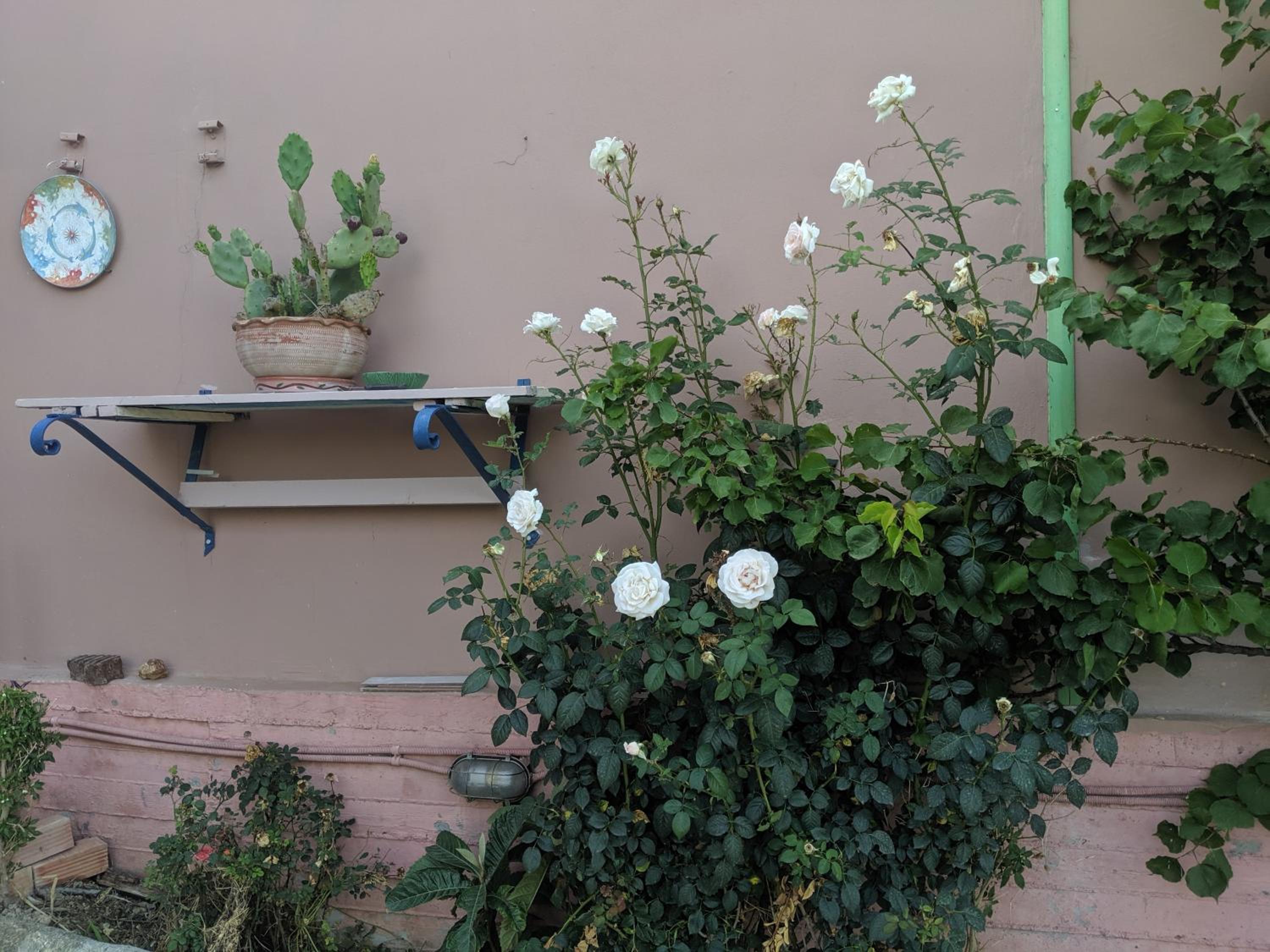 Photo 38