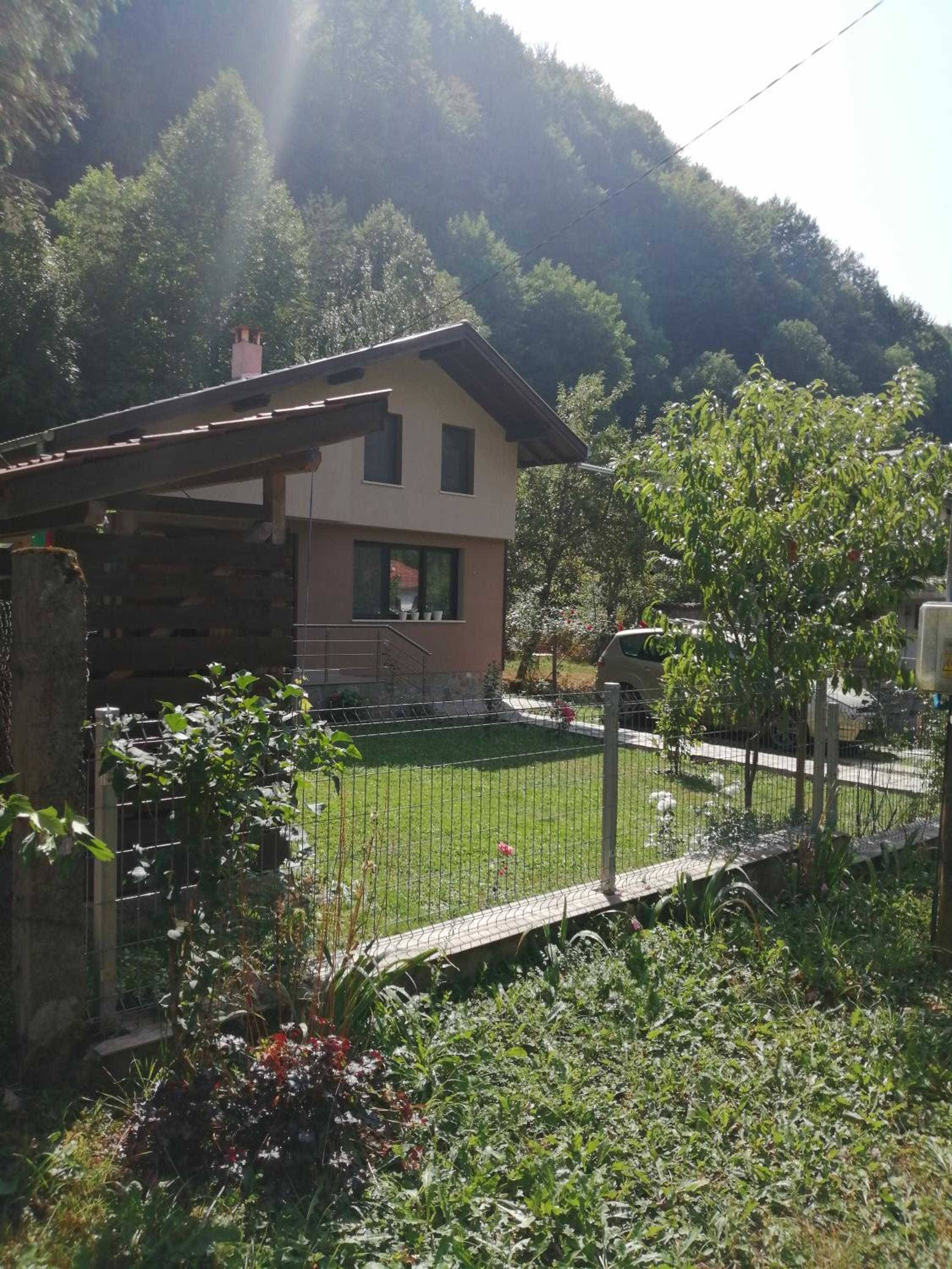 Photo 42