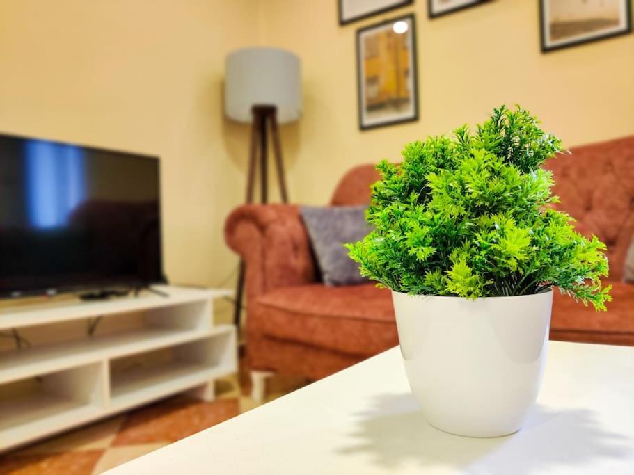 Newly furnished apartment for a family in Cairo