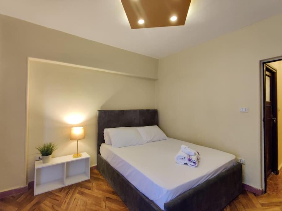 Newly furnished apartment for a family in Cairo