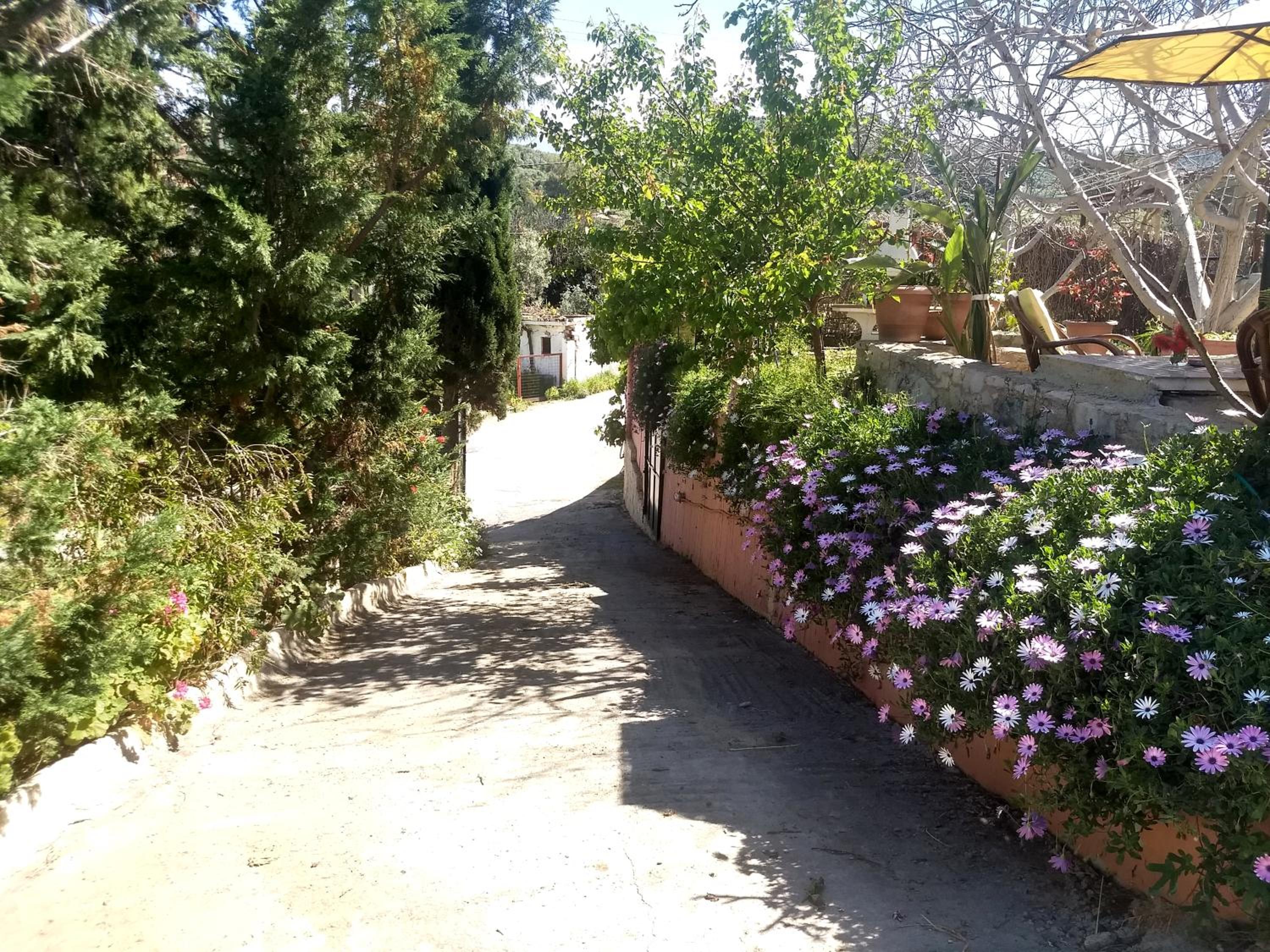 Photo 29